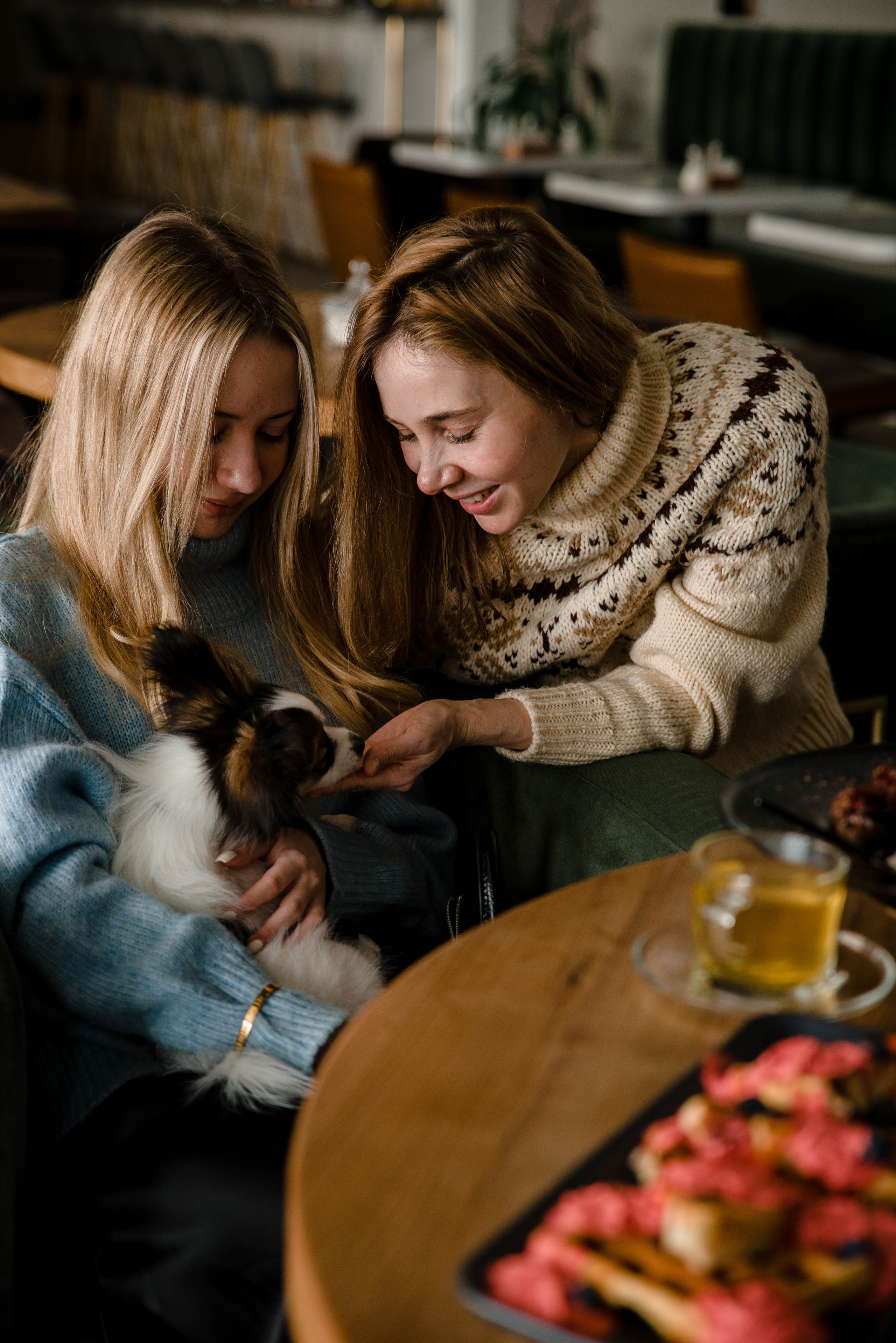 Настя, Света и Папийон Луней. Главная