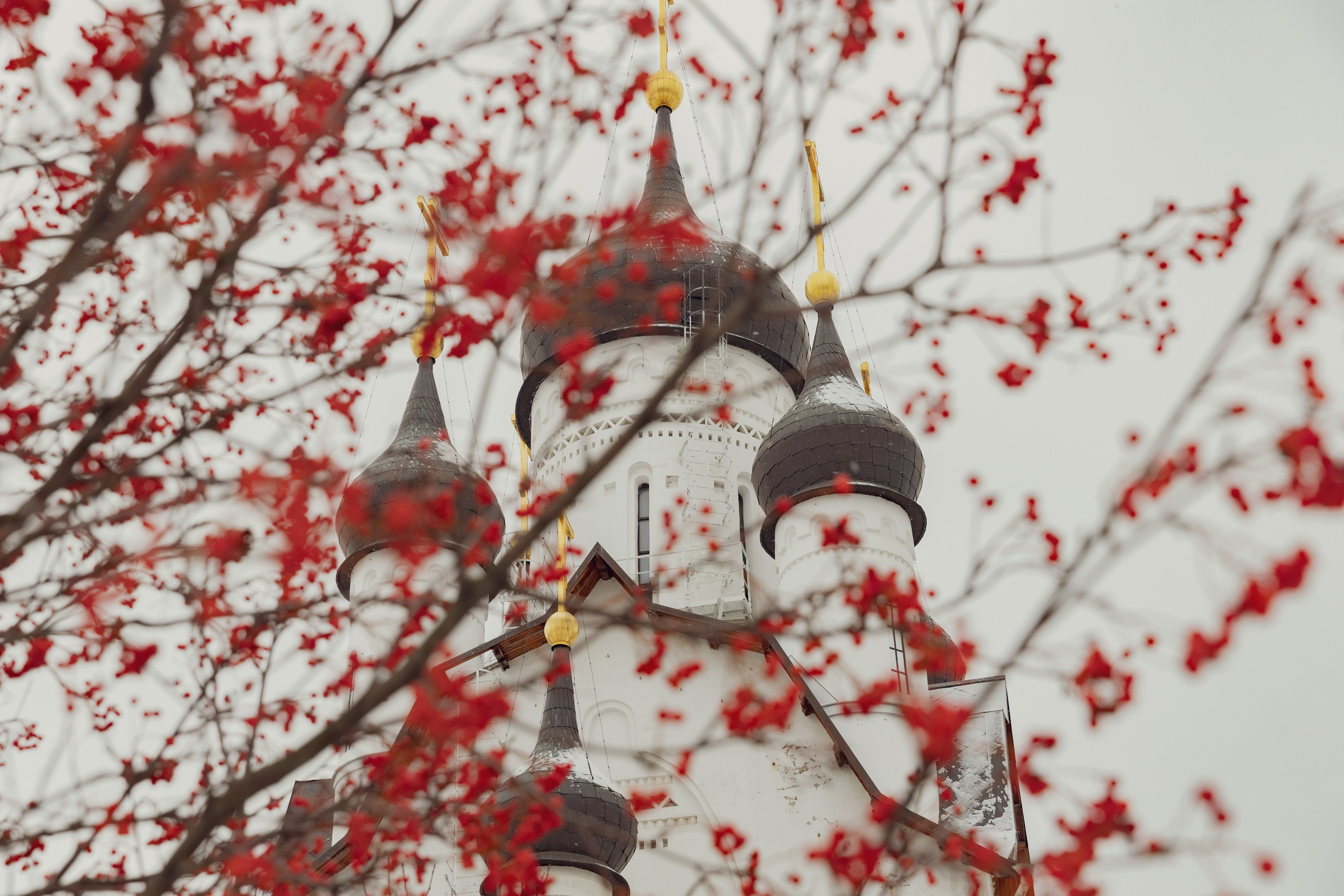 Крещение Апостола Петра. Свадебный фотограф, крещение, венчание СПБ, Белгород Анна Коршунова