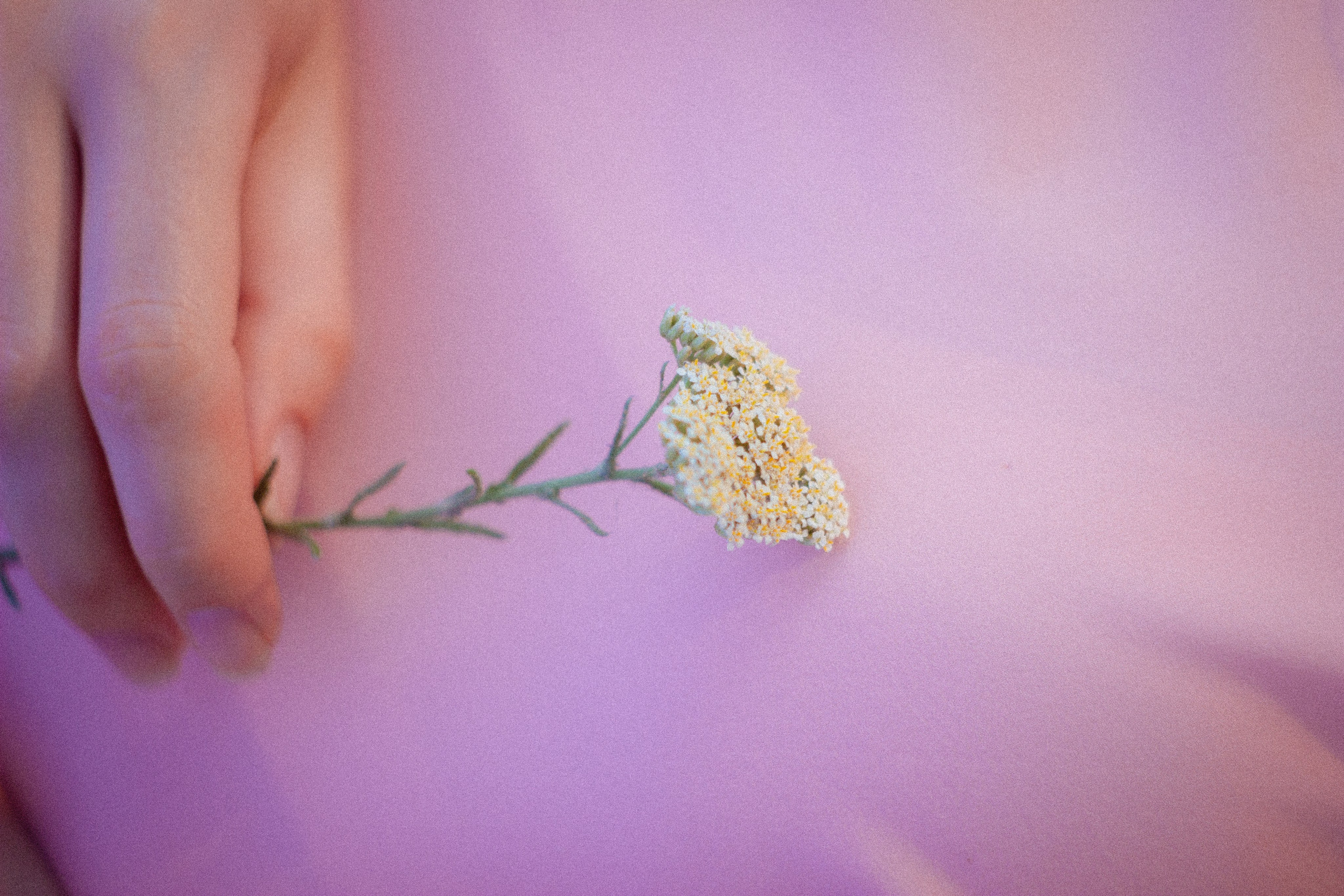 Вперед в прошлое. • Фотограф Александра Светозар Алчевск •