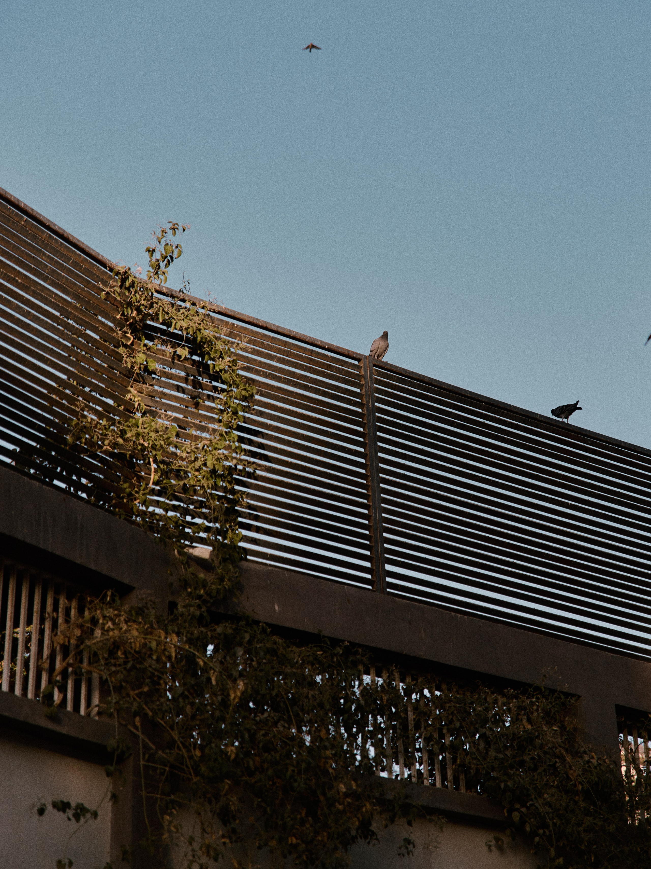 Диптих. Jorgis — фотограф в Хургаде / обучение фотографии