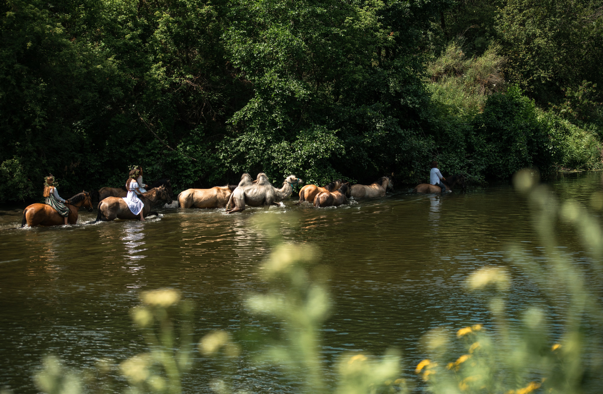 Купала в Родославном. Конный фотограф в Саратове Юлия Иванова