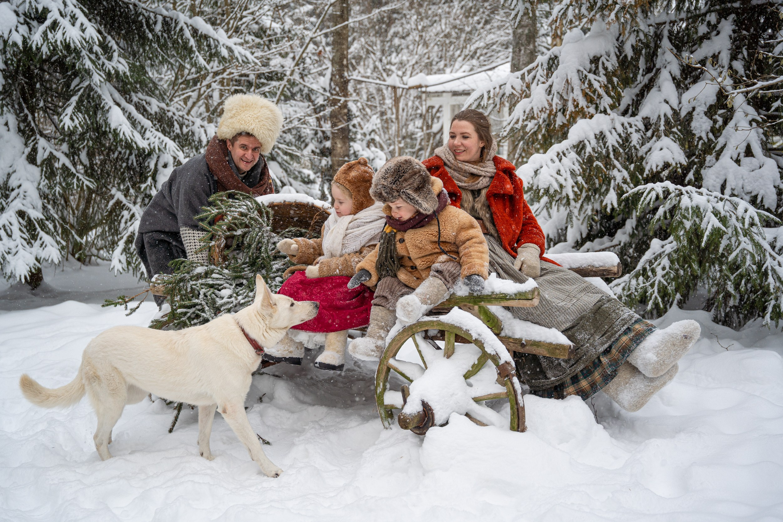 Лесное. Главная