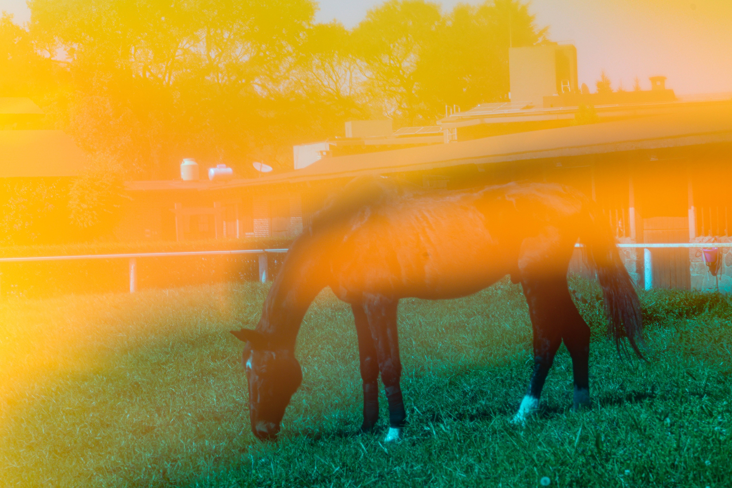 Фотохронотоп детства. Kateserbina