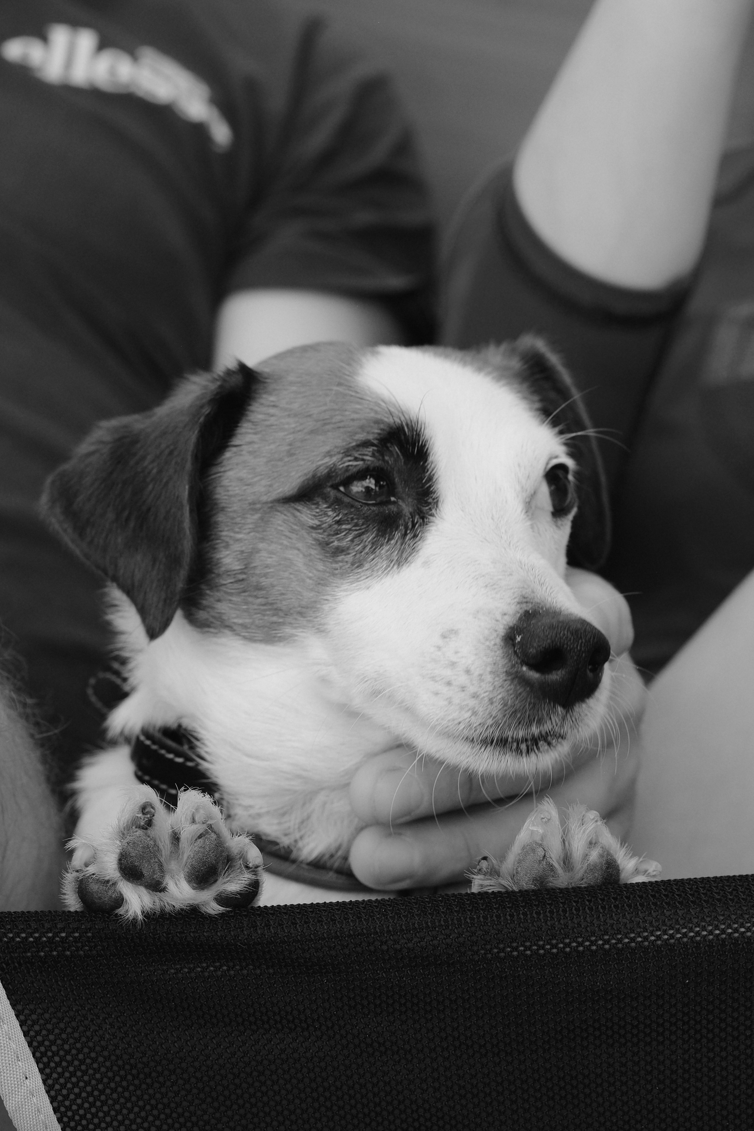 Portraits. Портретный фотограф из Ростова-на-Дону Амид Меловой