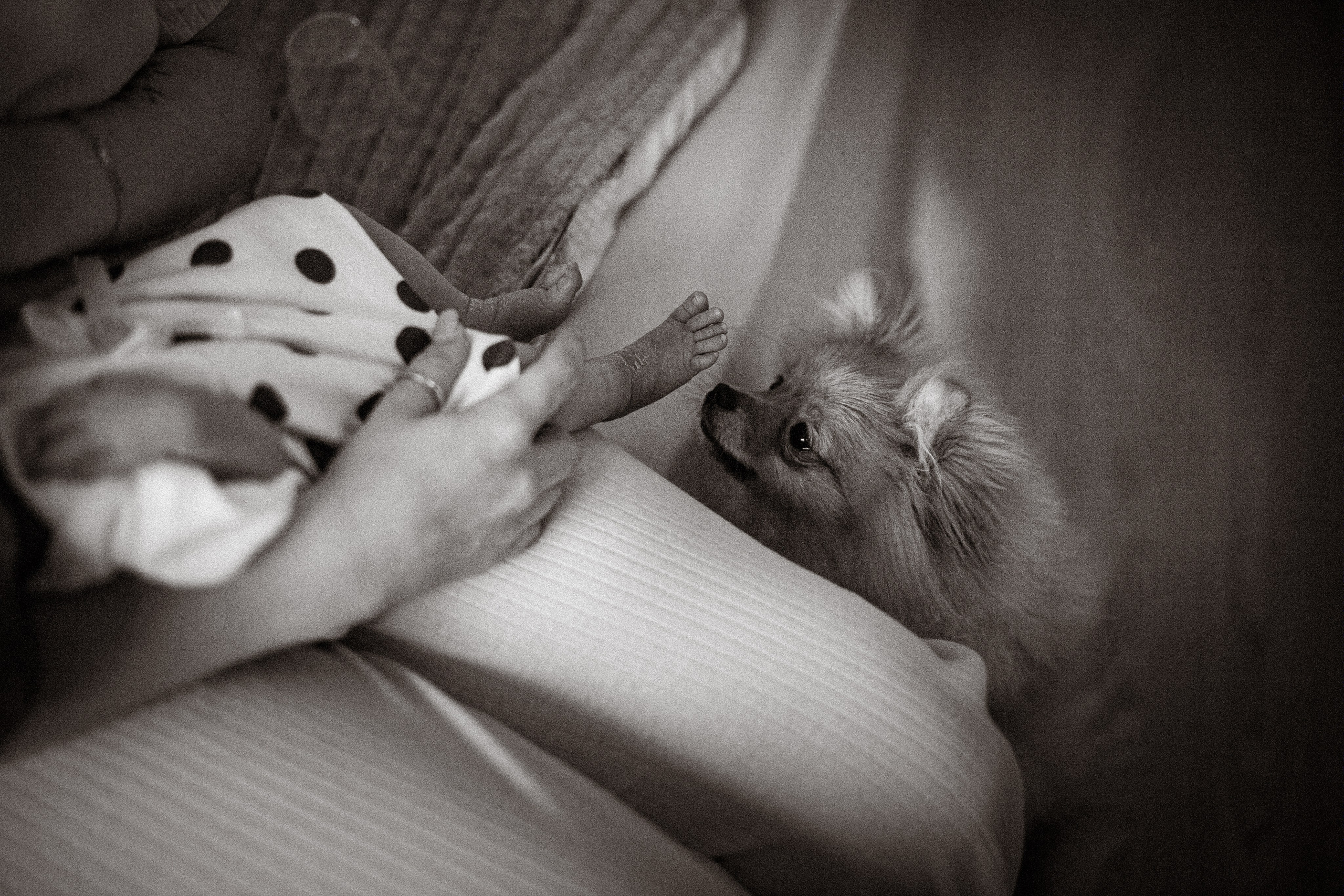 Домашние Семейные истории. Семейный фотограф в Москве Татьяна Головина