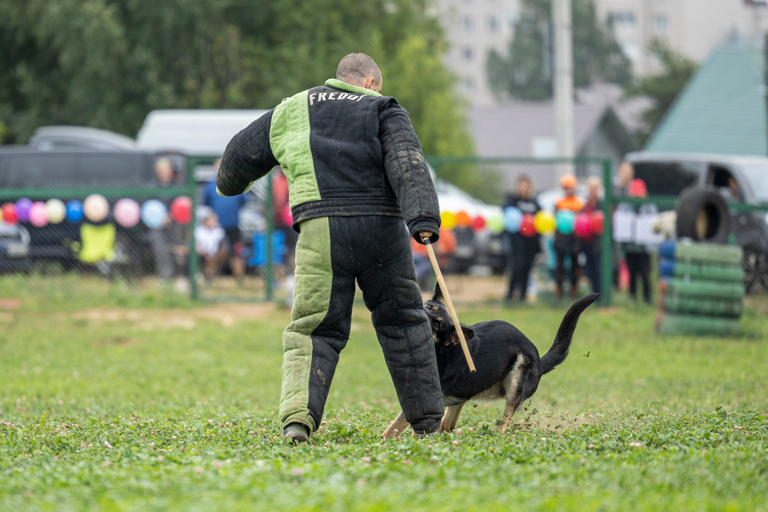 Соревнования по Мондьорингу г. Вологда 10-11.08.2024. Фотограф-анималист Анна Маринич