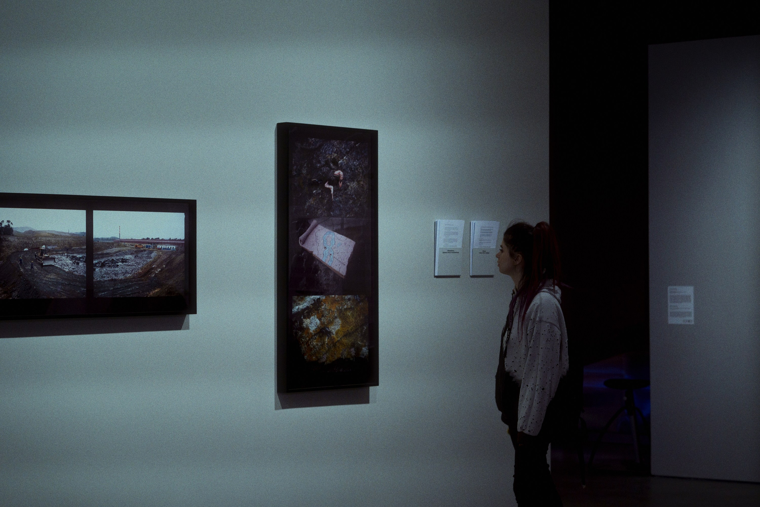 Garage MCA / “Грядущий мир: экология как новая политика. 2030–2100”. Фотограф Юрин Евгений