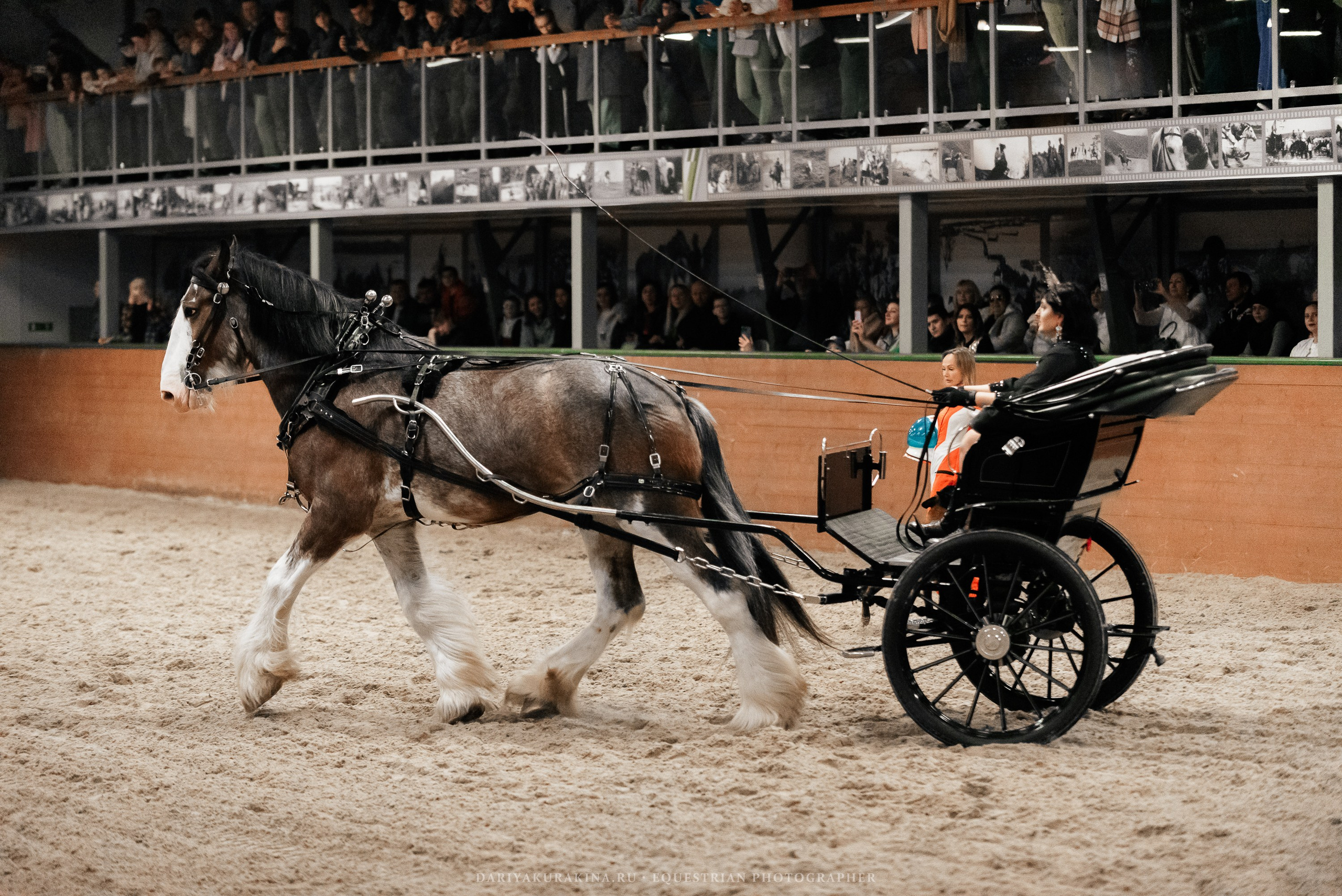 Конное представление «Дыхание Звёзд». Конный фотограф Куракина Дарья • Фотосессии с лошадьми