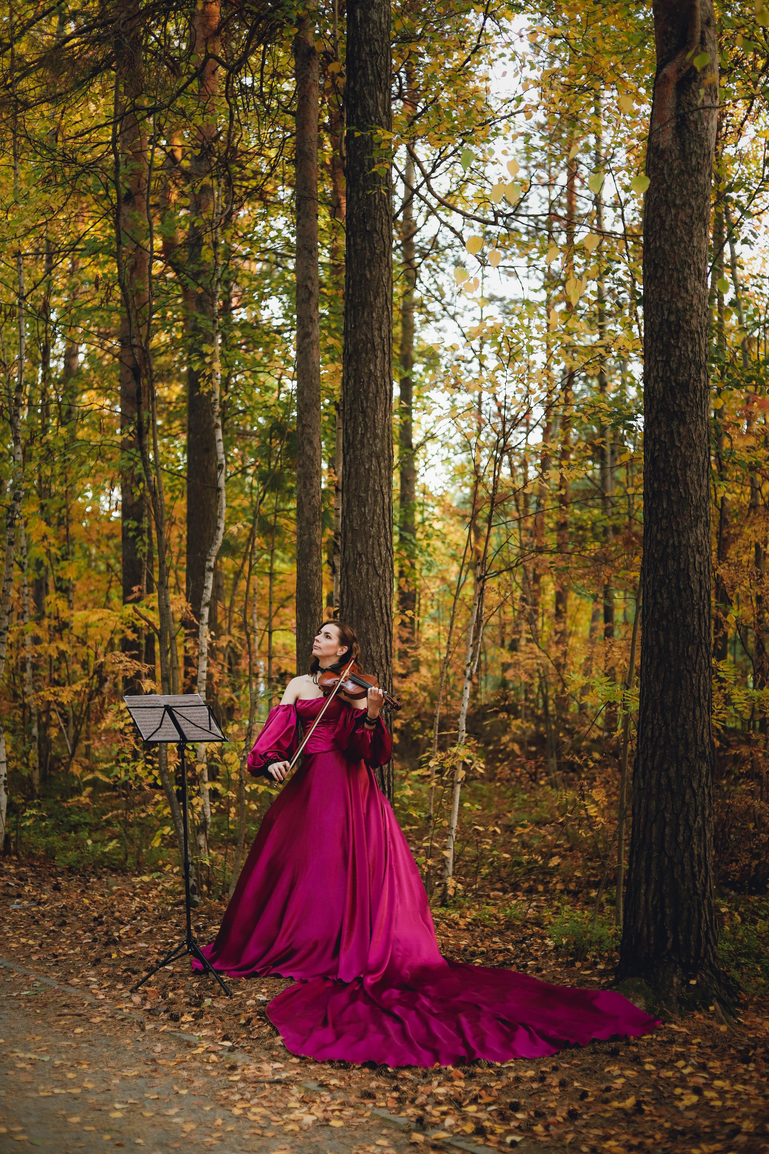 Скрипка. Фотограф в Сургуте Брызгунова Анастасия