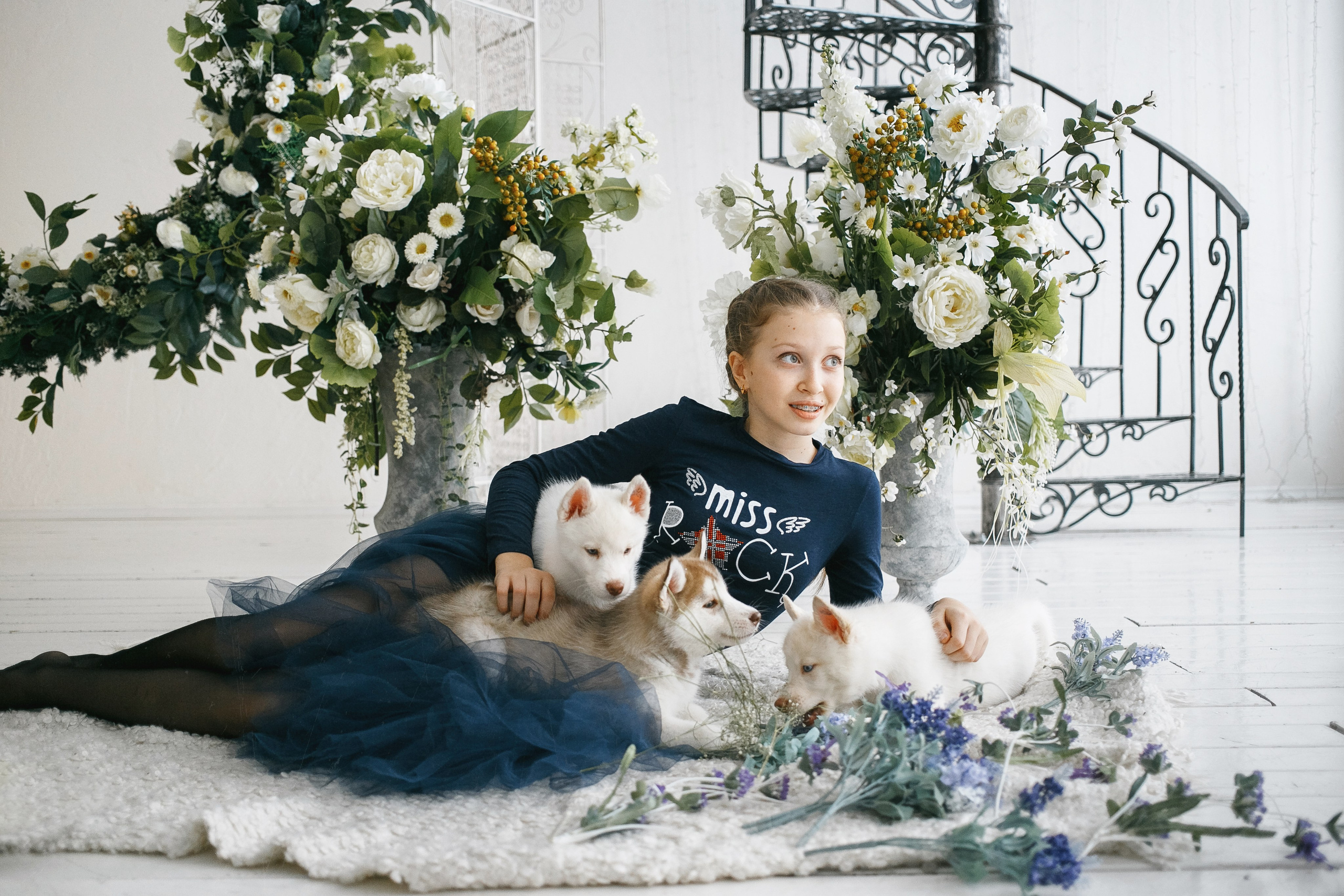 Весенняя фотосессия с щенками Хаски. Фотограф Сергей Логинов