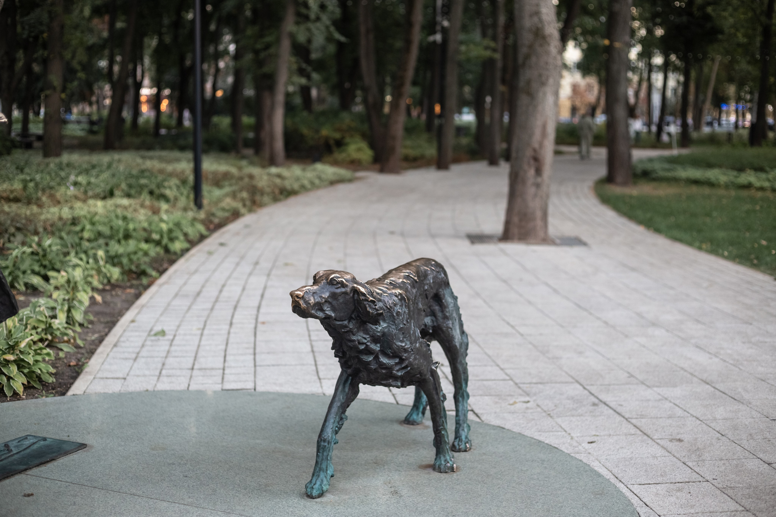 Парк Орленок. Выпускные альбомы Воронеж от Веры Соколовой