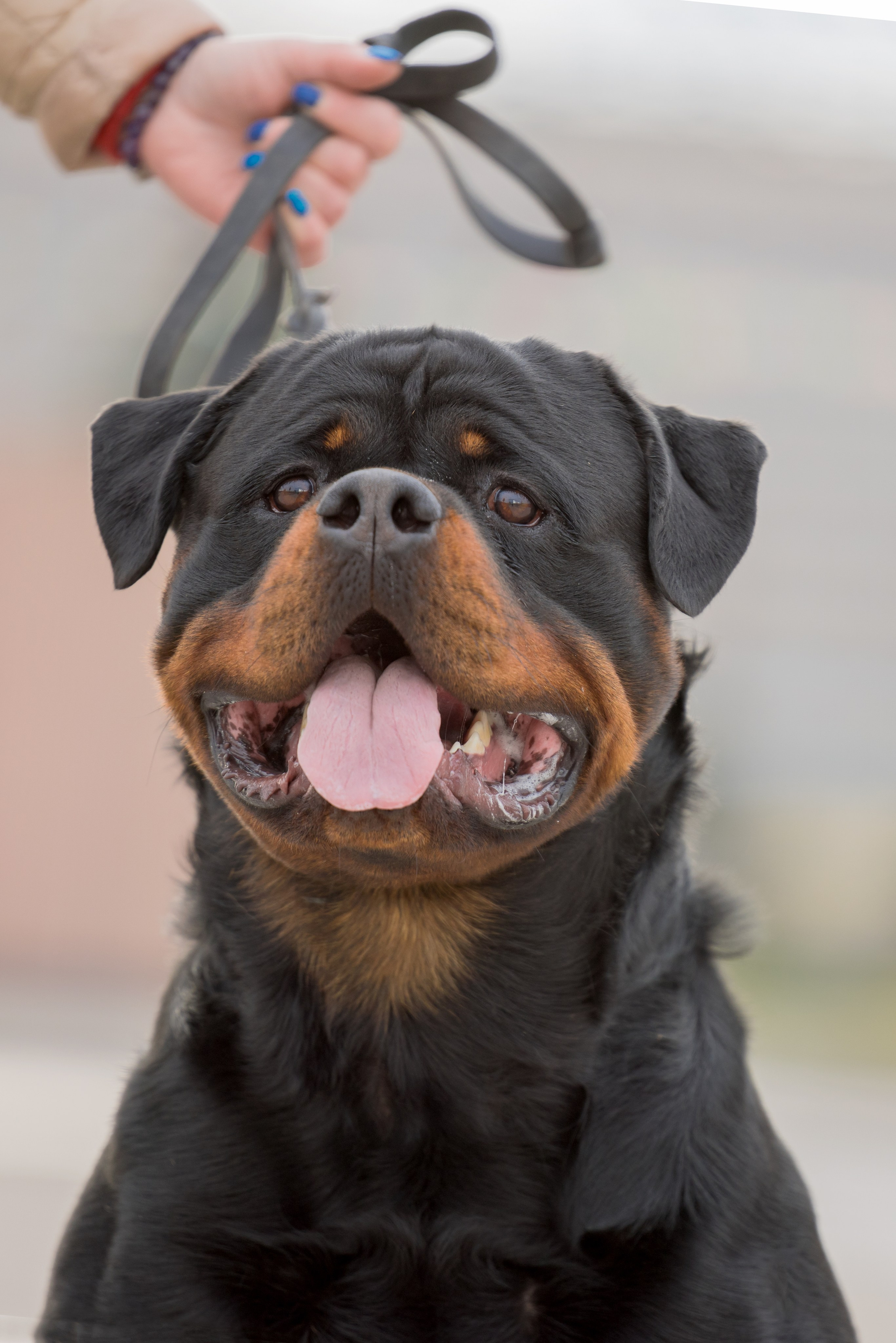 Нижний Новгород 21-22.10.2023. Фотограф-анималист Юлия Германика