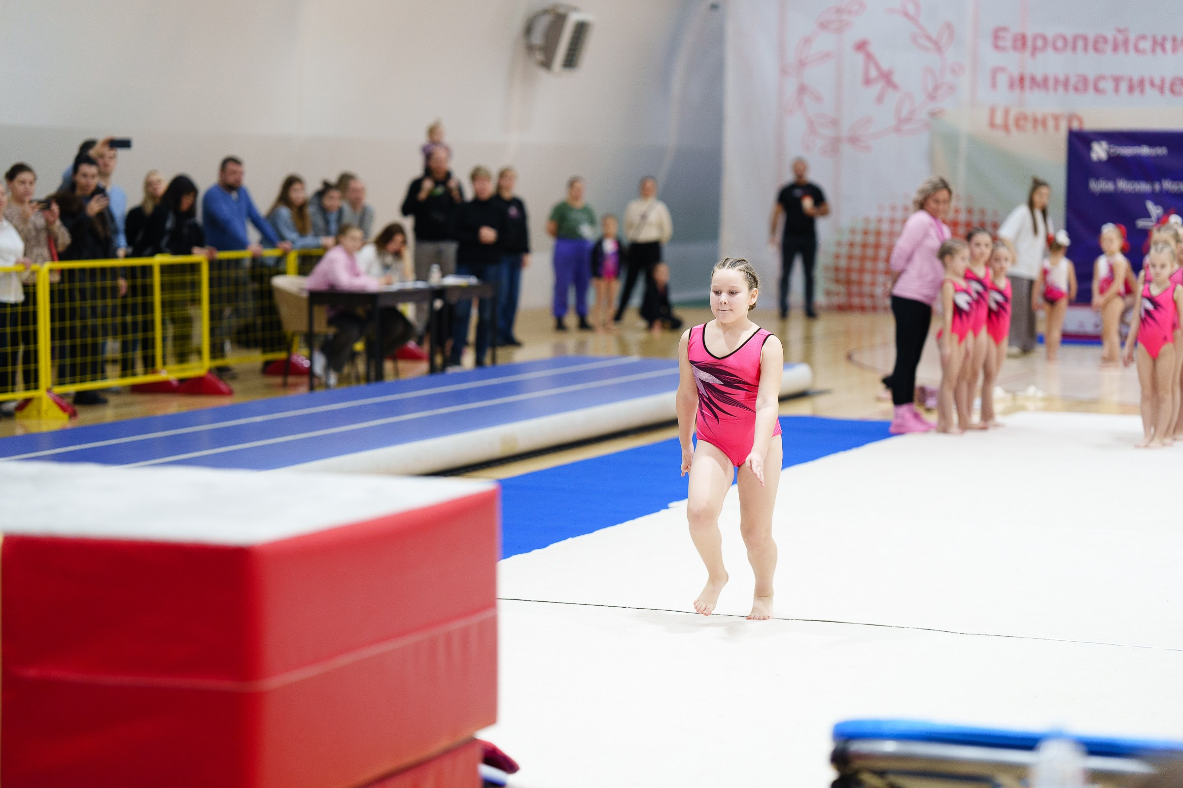 Гимнастика. Фотограф Москва