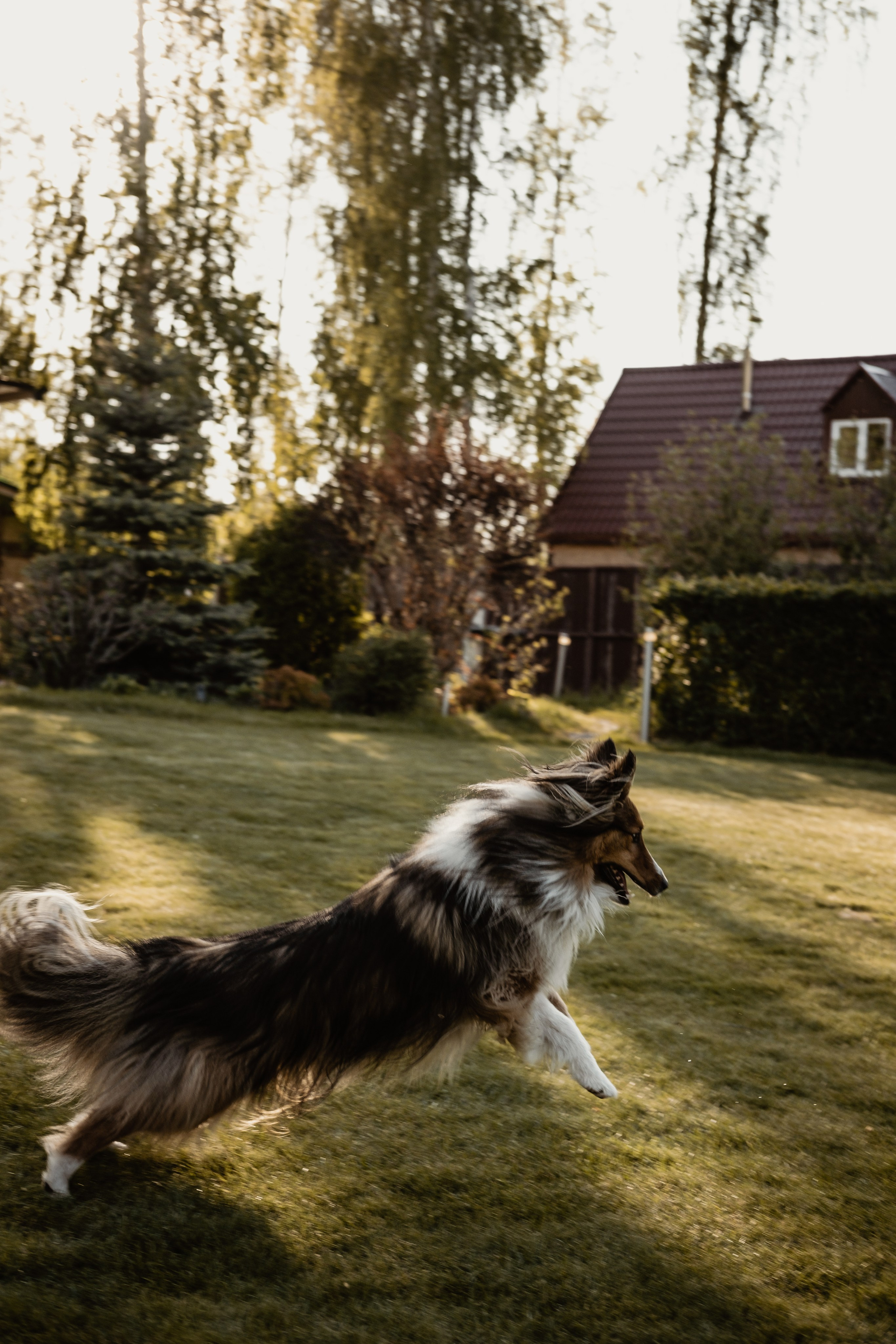 1. Свадебный фотограф Челябинск