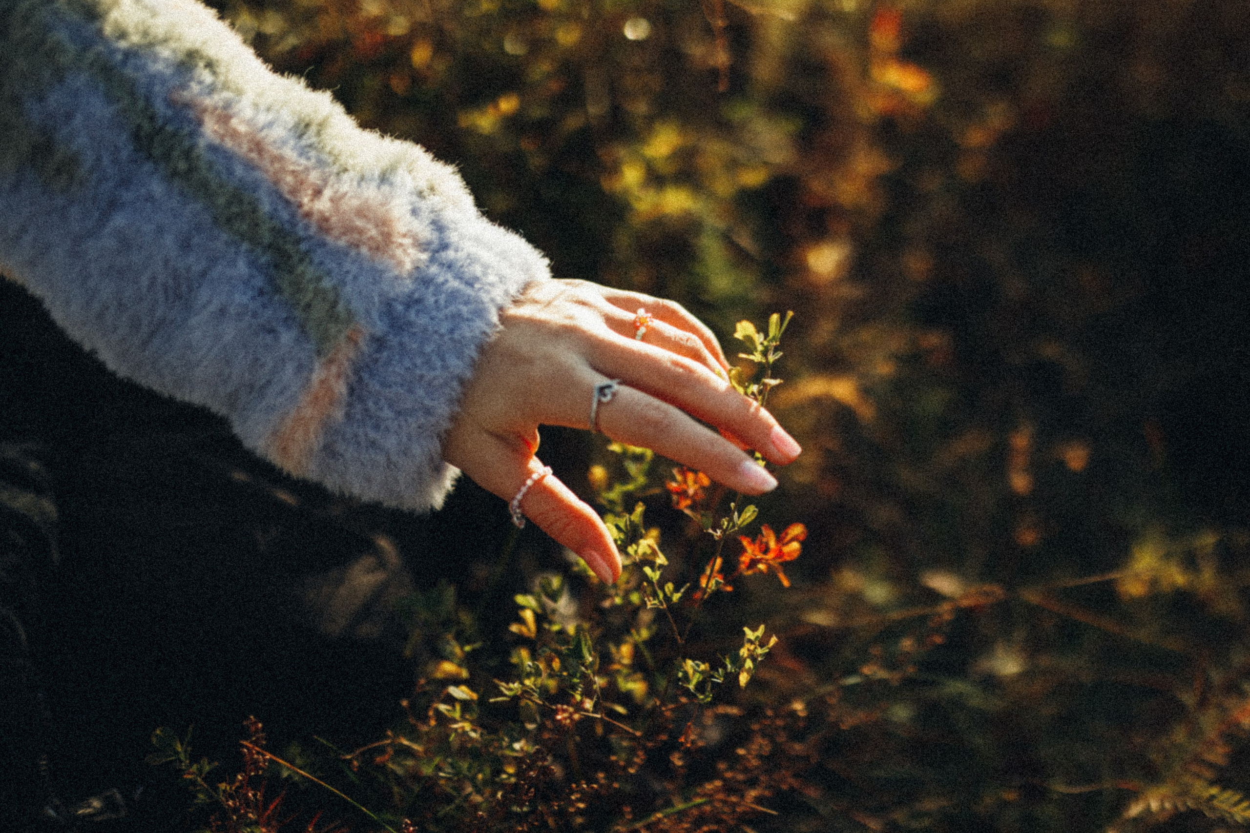 ДАША. Фотограф Лебедева Наталья