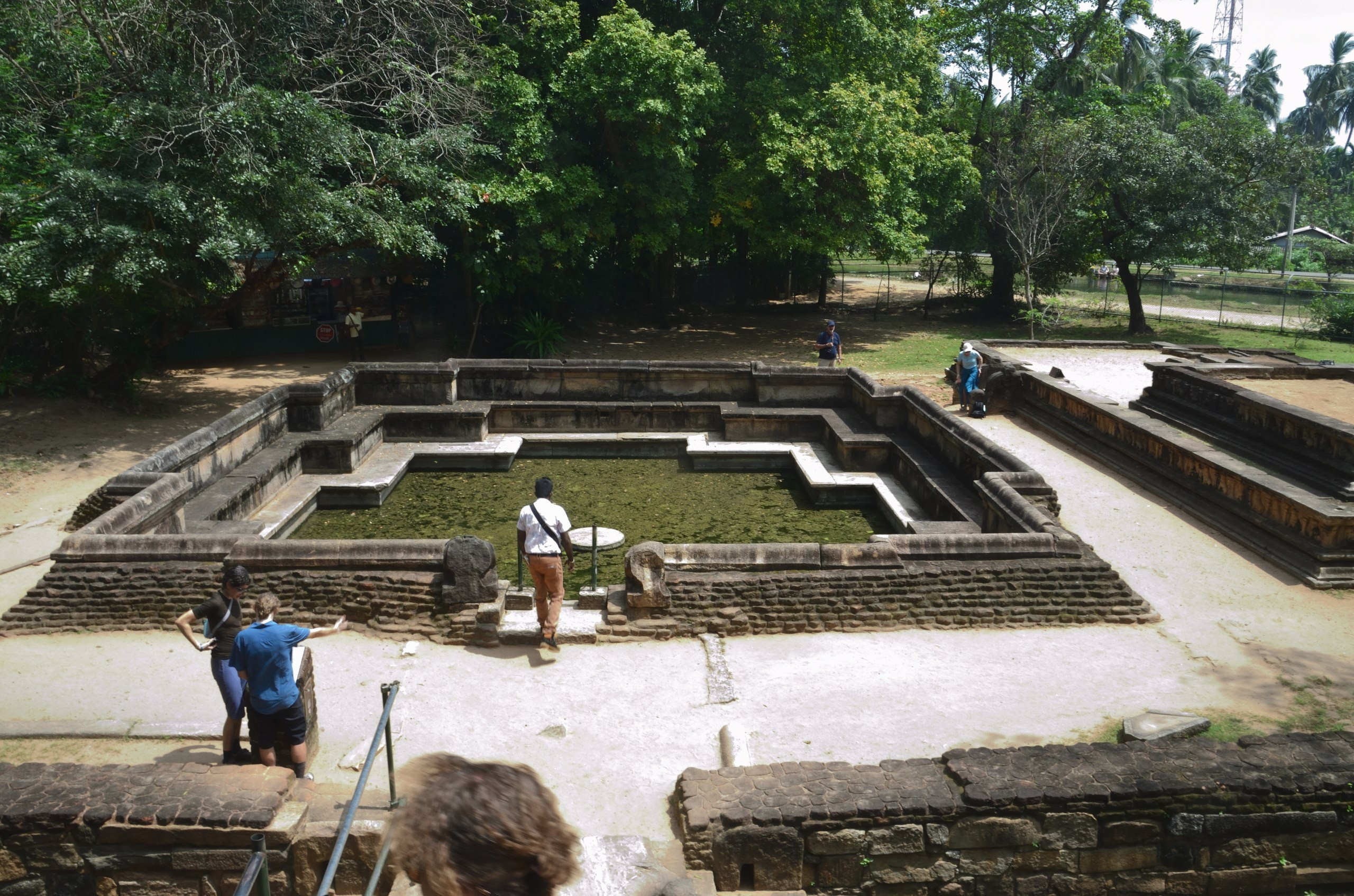 Шри-Ланка | 31.01 — 10.02.2025. Галерея Фантим