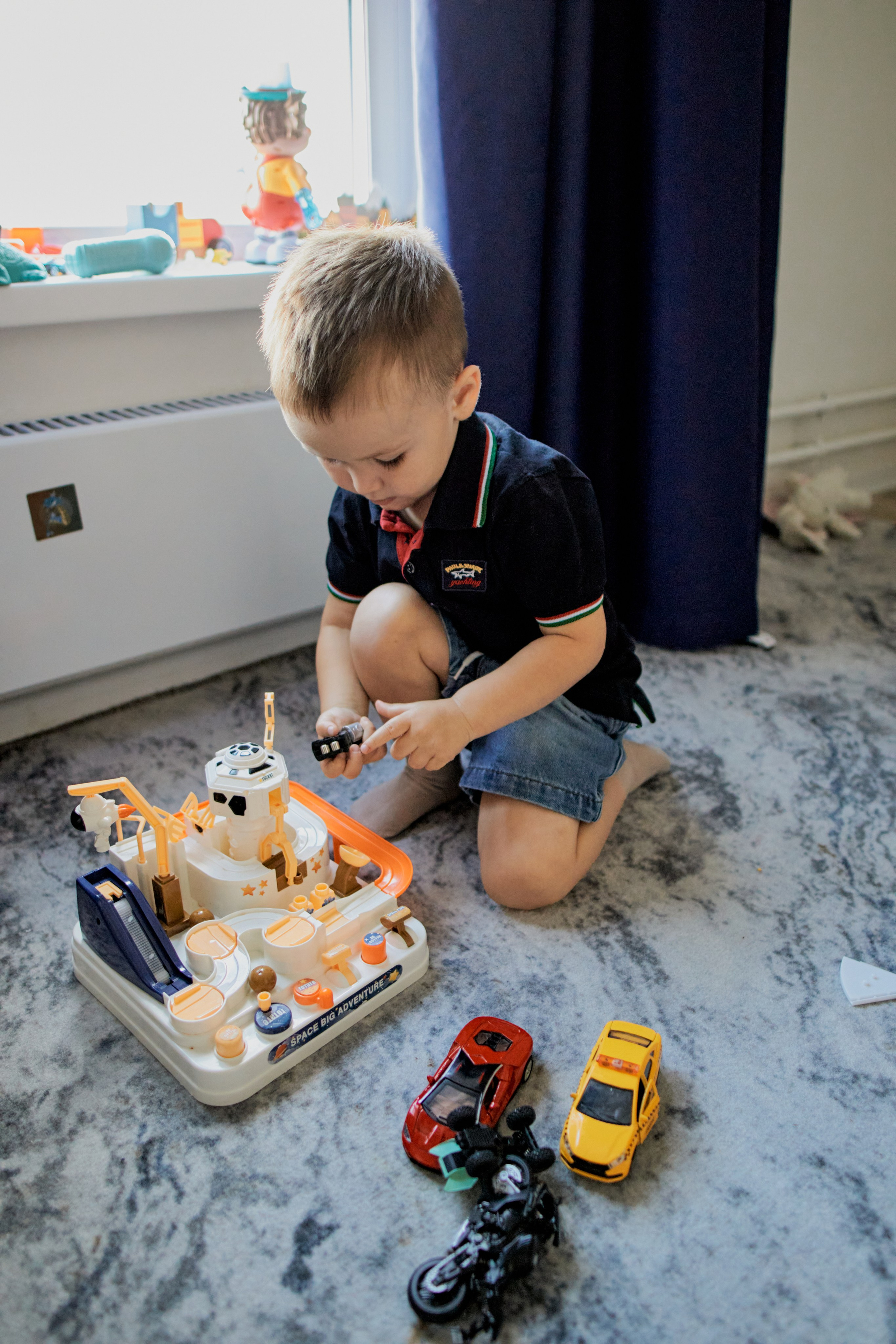 Три кота. Фотограф Москва