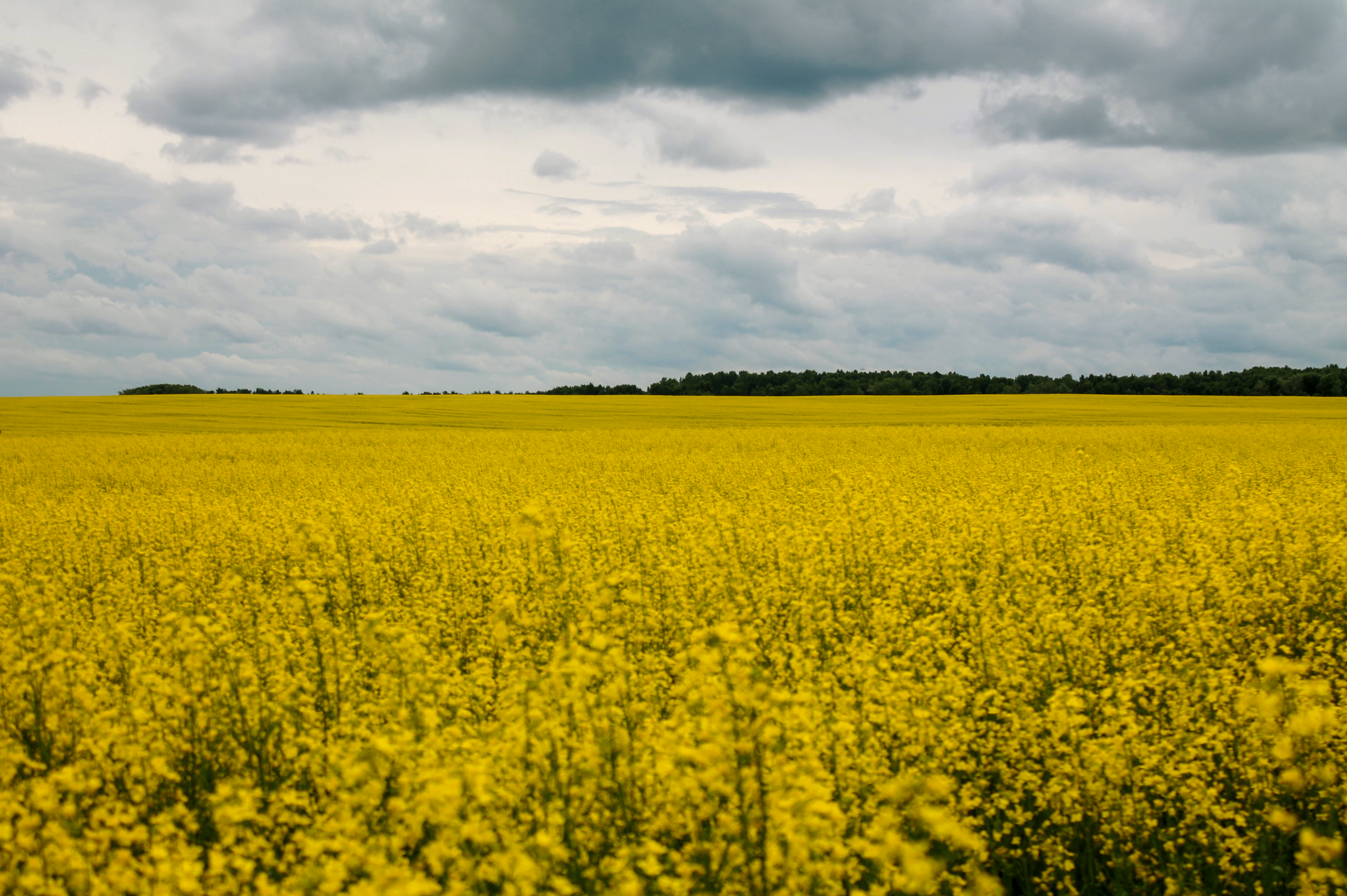 18.07.2022 | Красноярский край. Kuznetsov | Фотограф в Красноярске