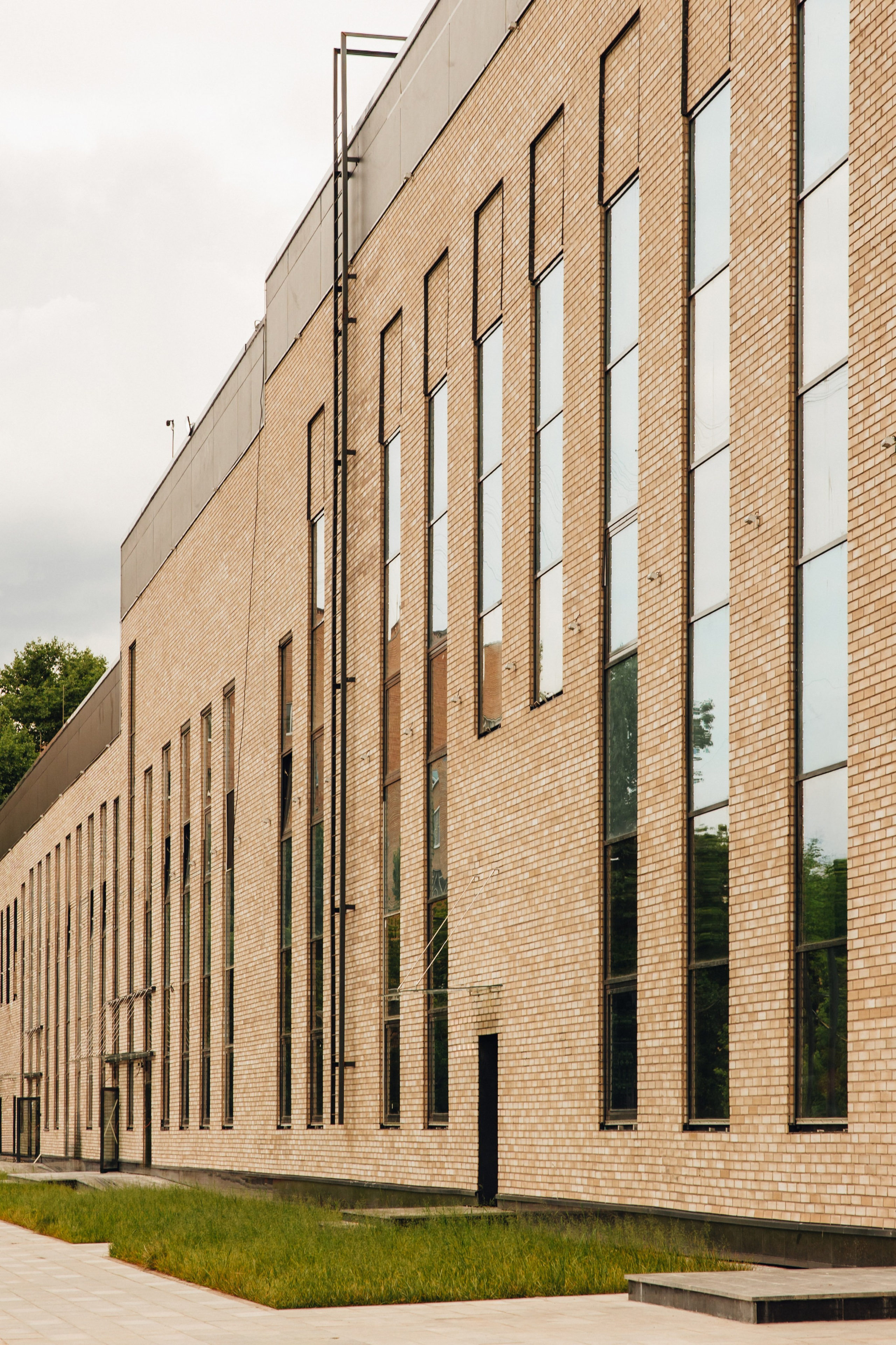 СТАДИОН МЯГКОВА. АЛТ Портфолио