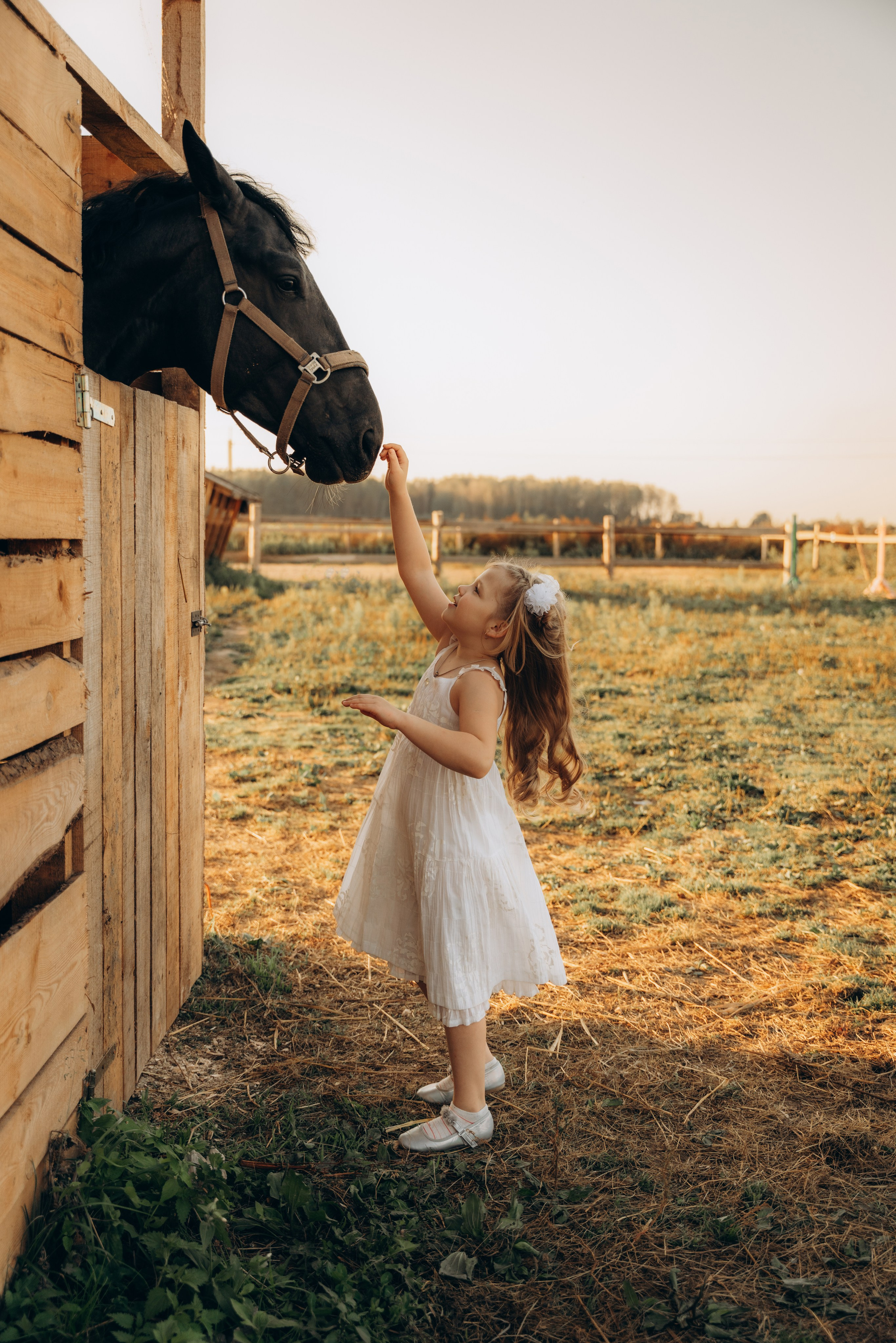 Оля и Сонечка. Фотограф в Минске — Мария Миллс