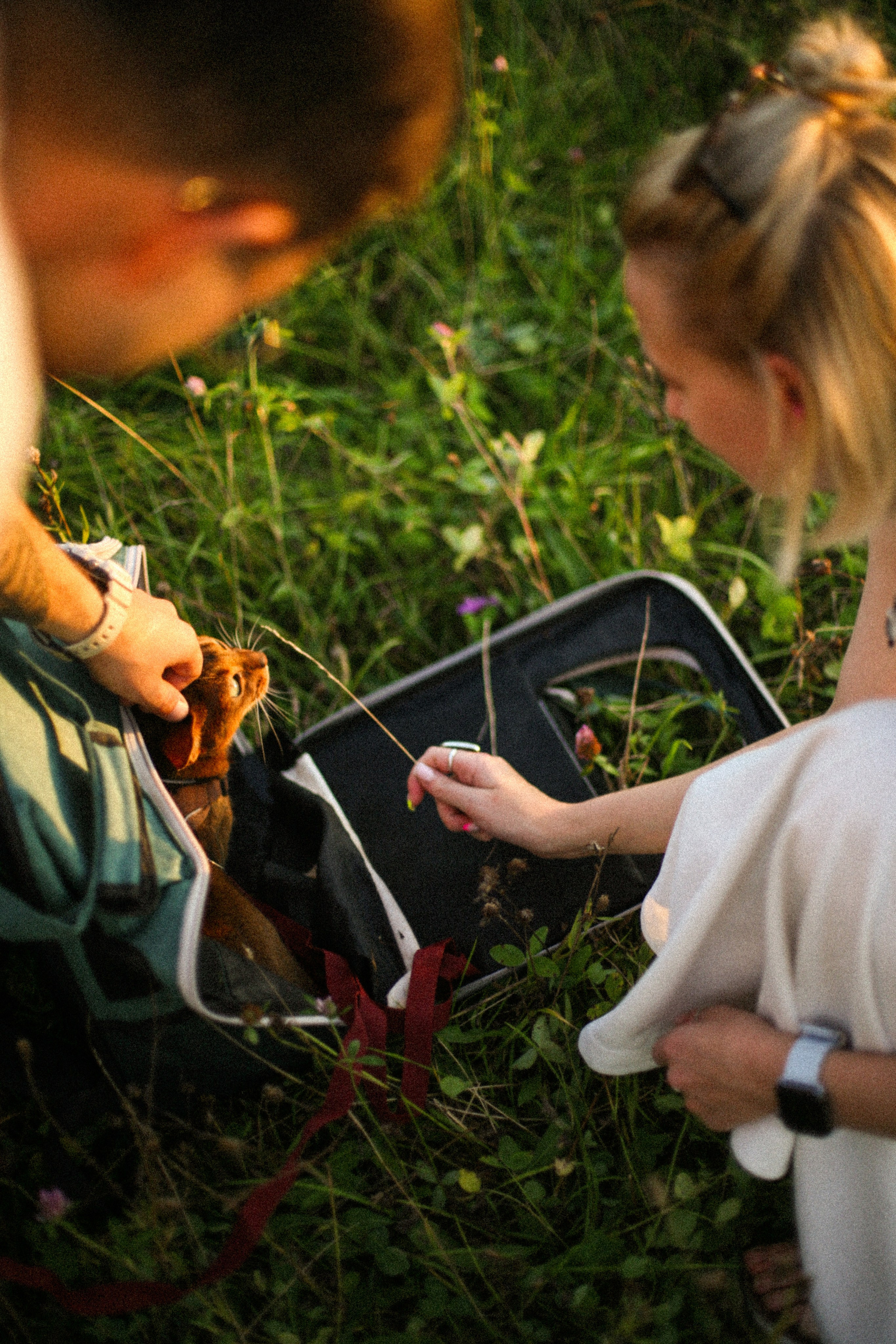 Катя и Миша. Фотограф Екатерина Максимова: семейные, индивидуальные съемки, свадьбы