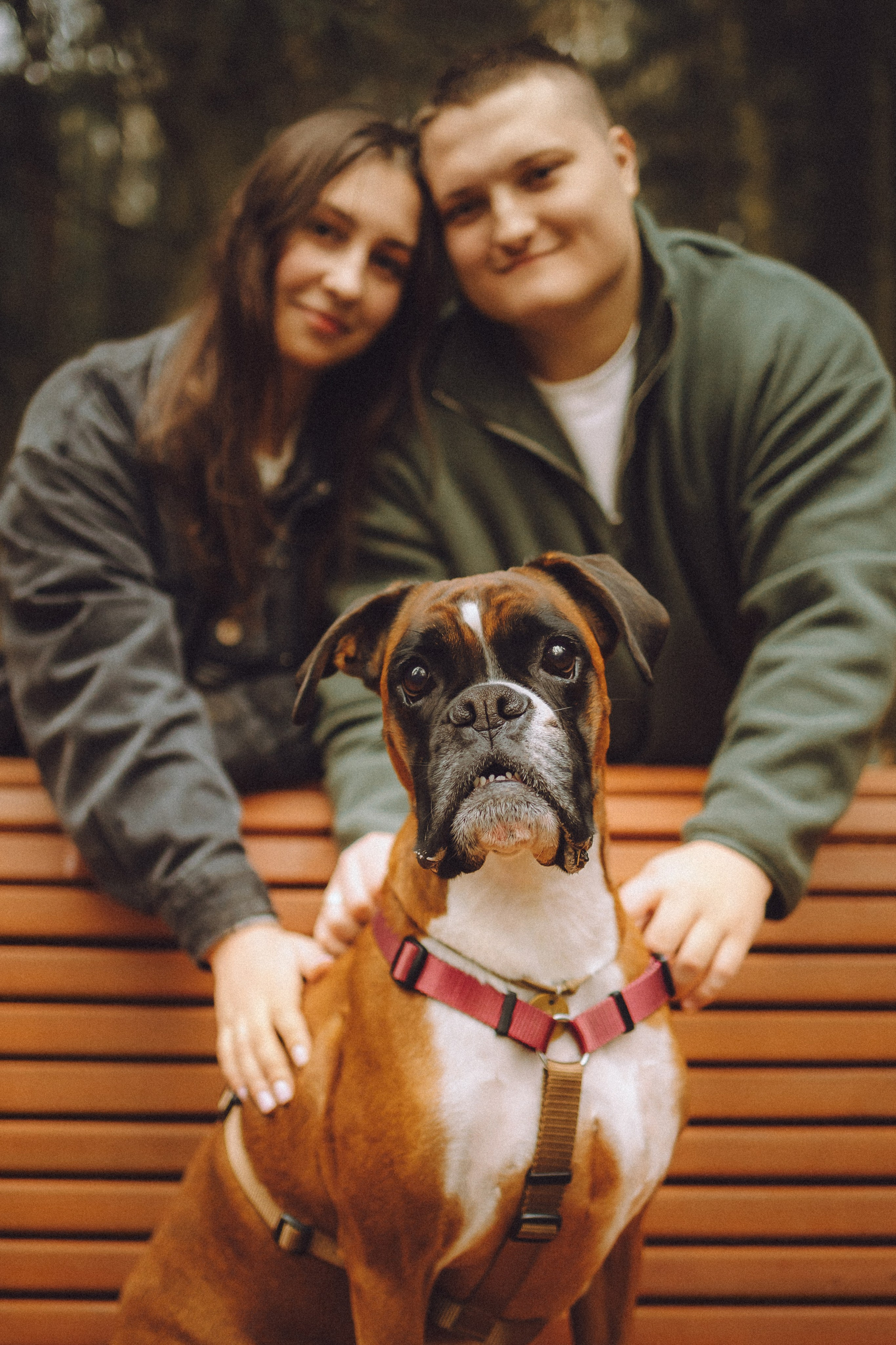 Элли и ее семья