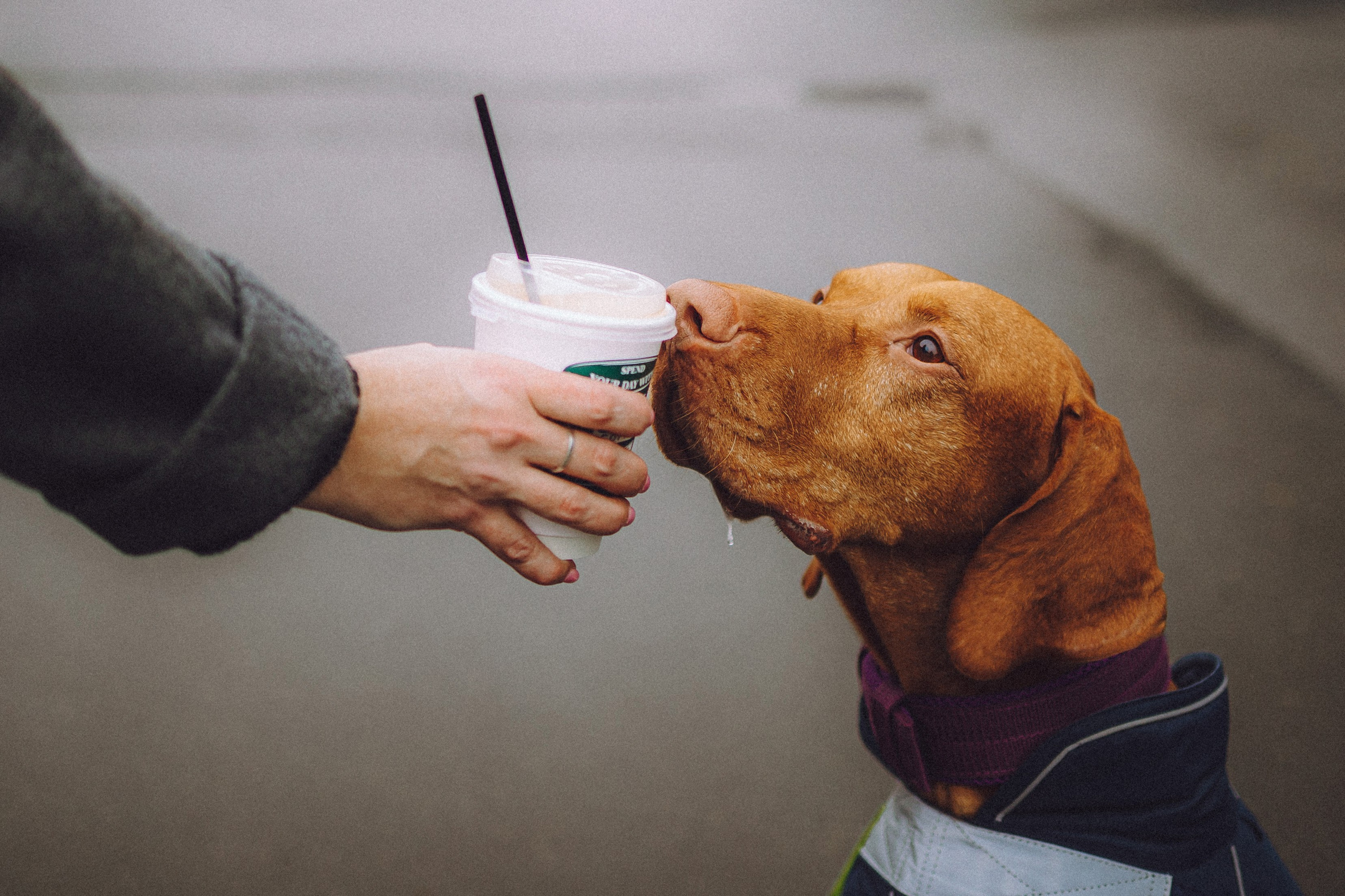 Екатерина и Даня