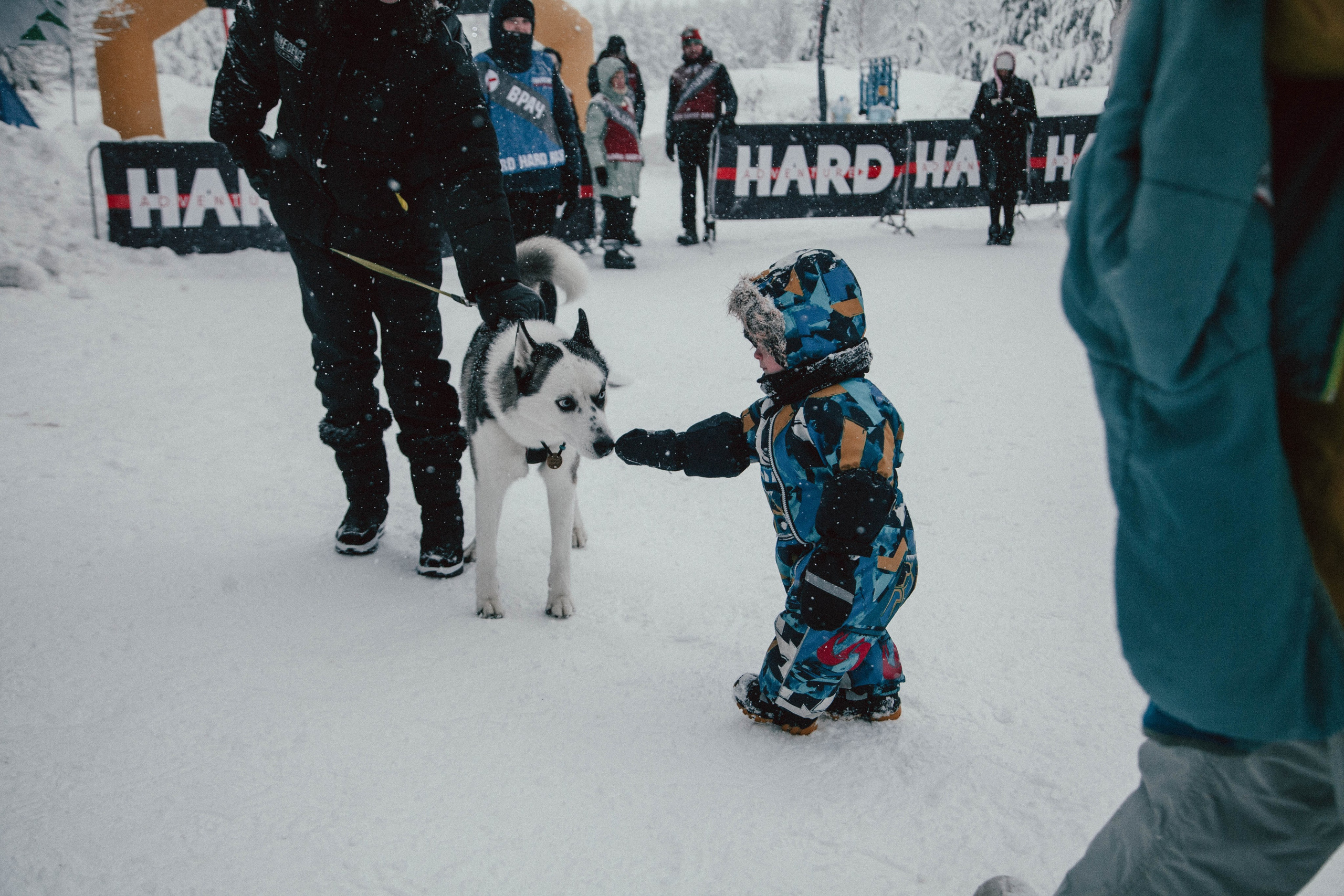 HARD TRAIL в Суоранде. Репортажный фотограф во Всеволожске и Санкт-Петербурге Владимир Капустин
