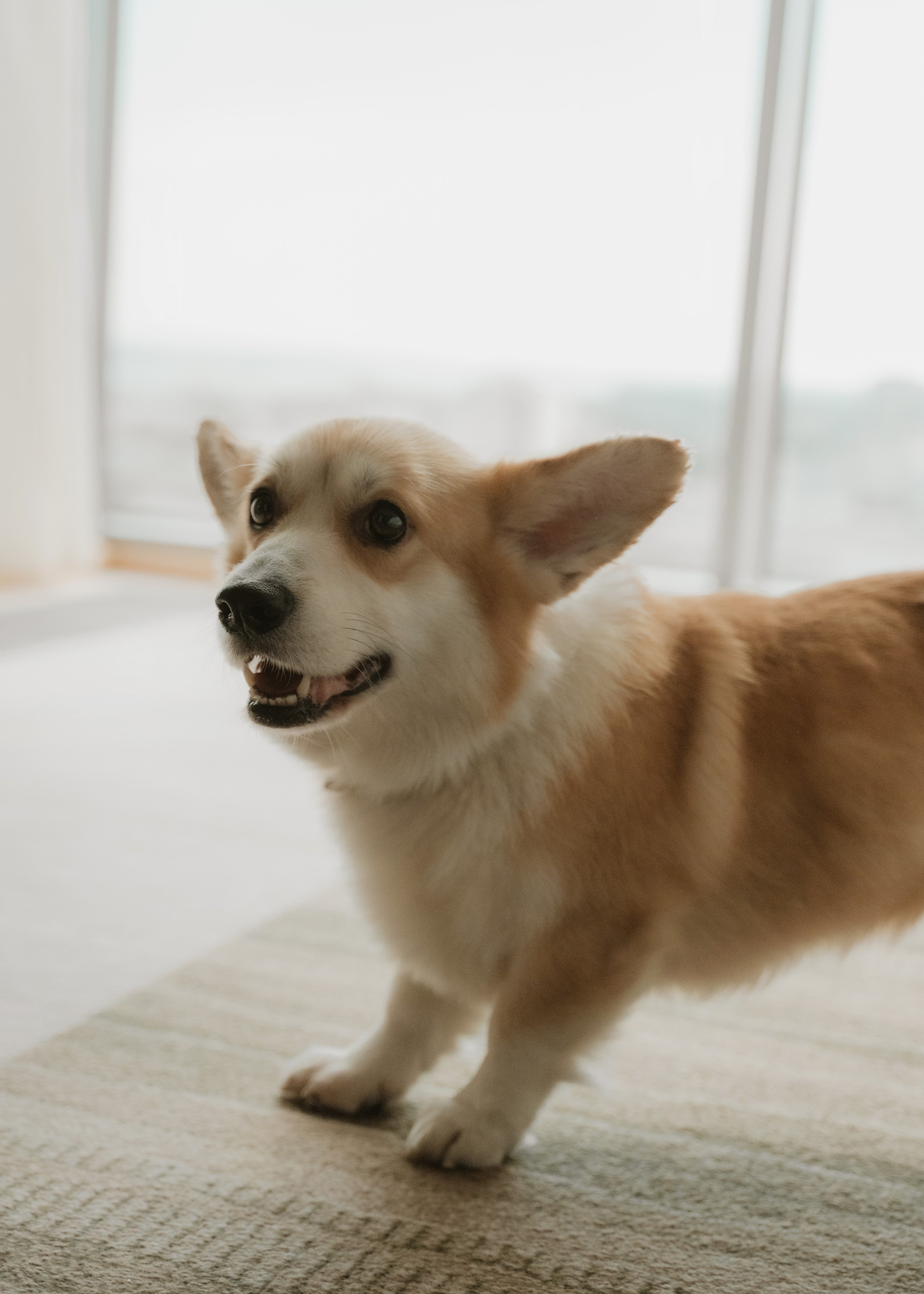 Утро невесты в гостиничном номере