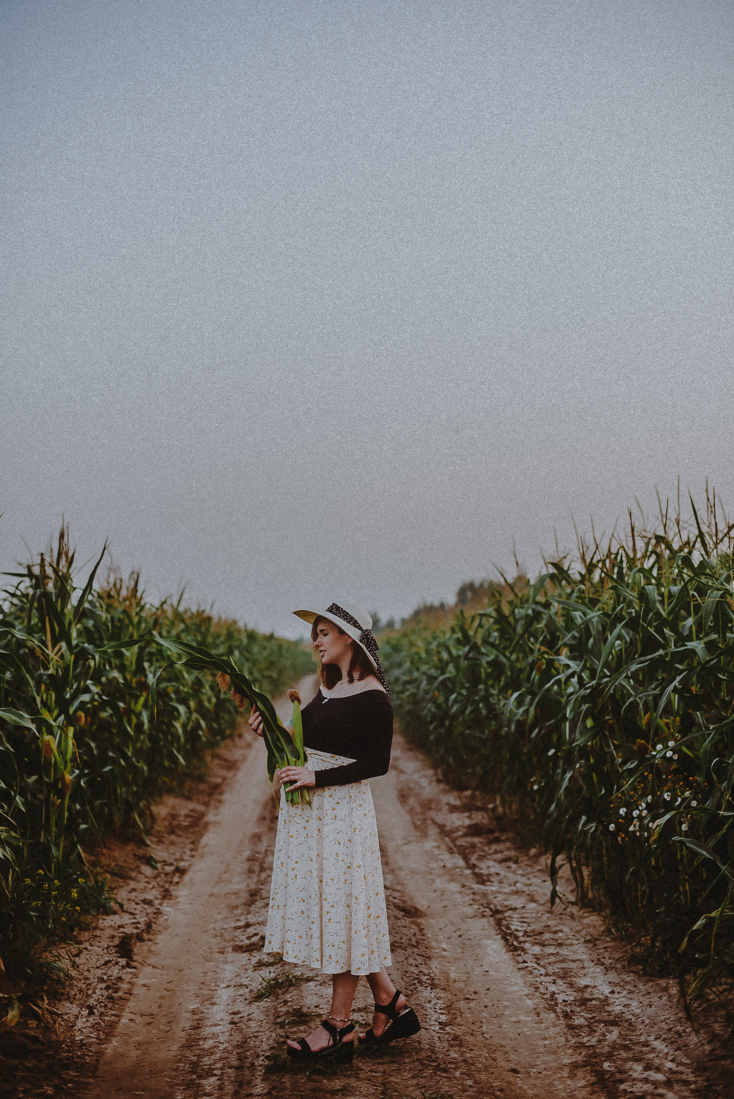 Кукуруза. Свадебный и семейный фотограф в Москве Сажина Кристина КиМ. Свадебный оператор в Москве Сажин Максим