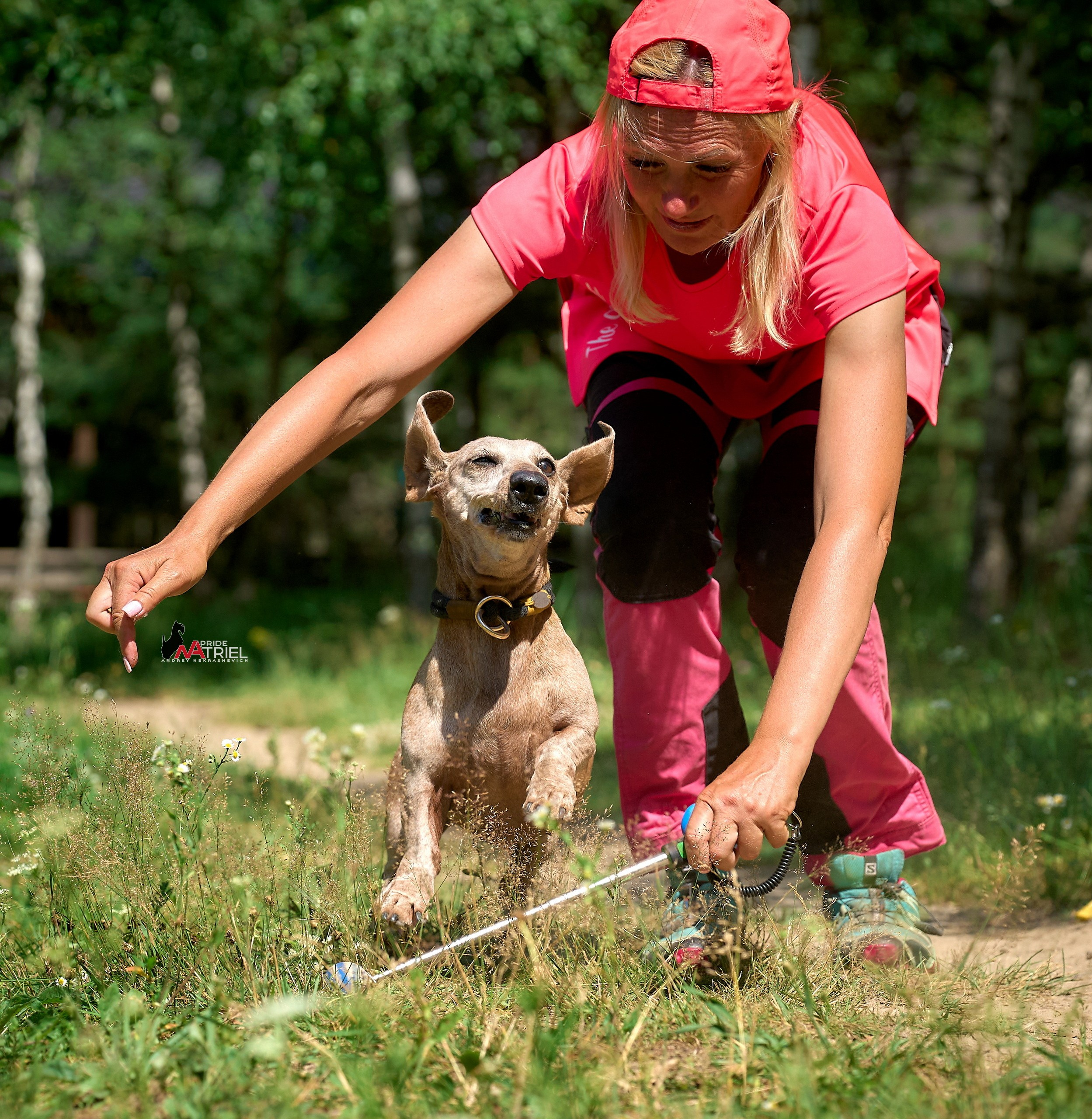 Обидиенс и танцы с собаками — галерея NATRIEL