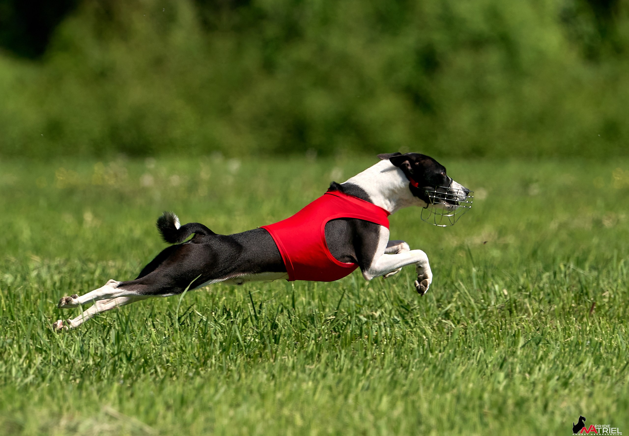 Съемка курсинг — галерея NATRIEL