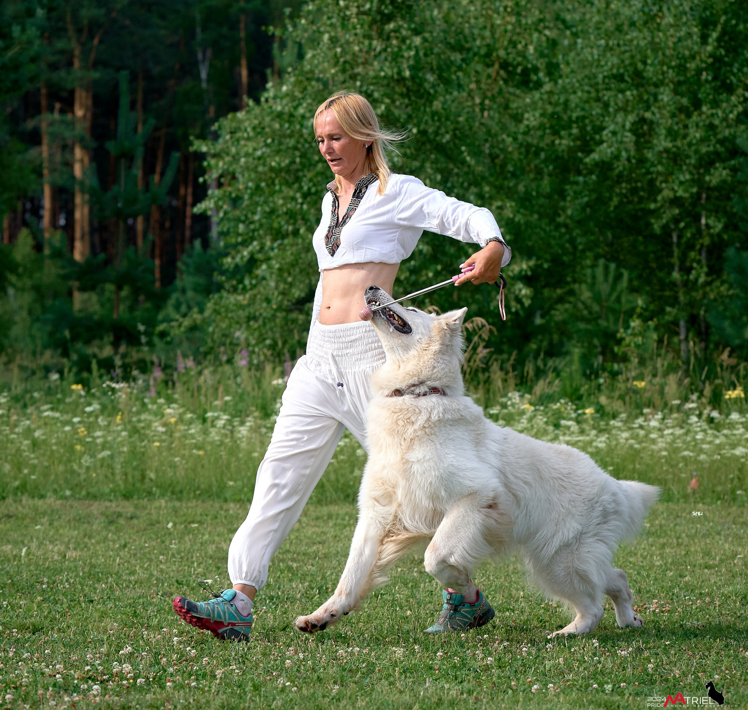 Репортаж из кинологического лагеря