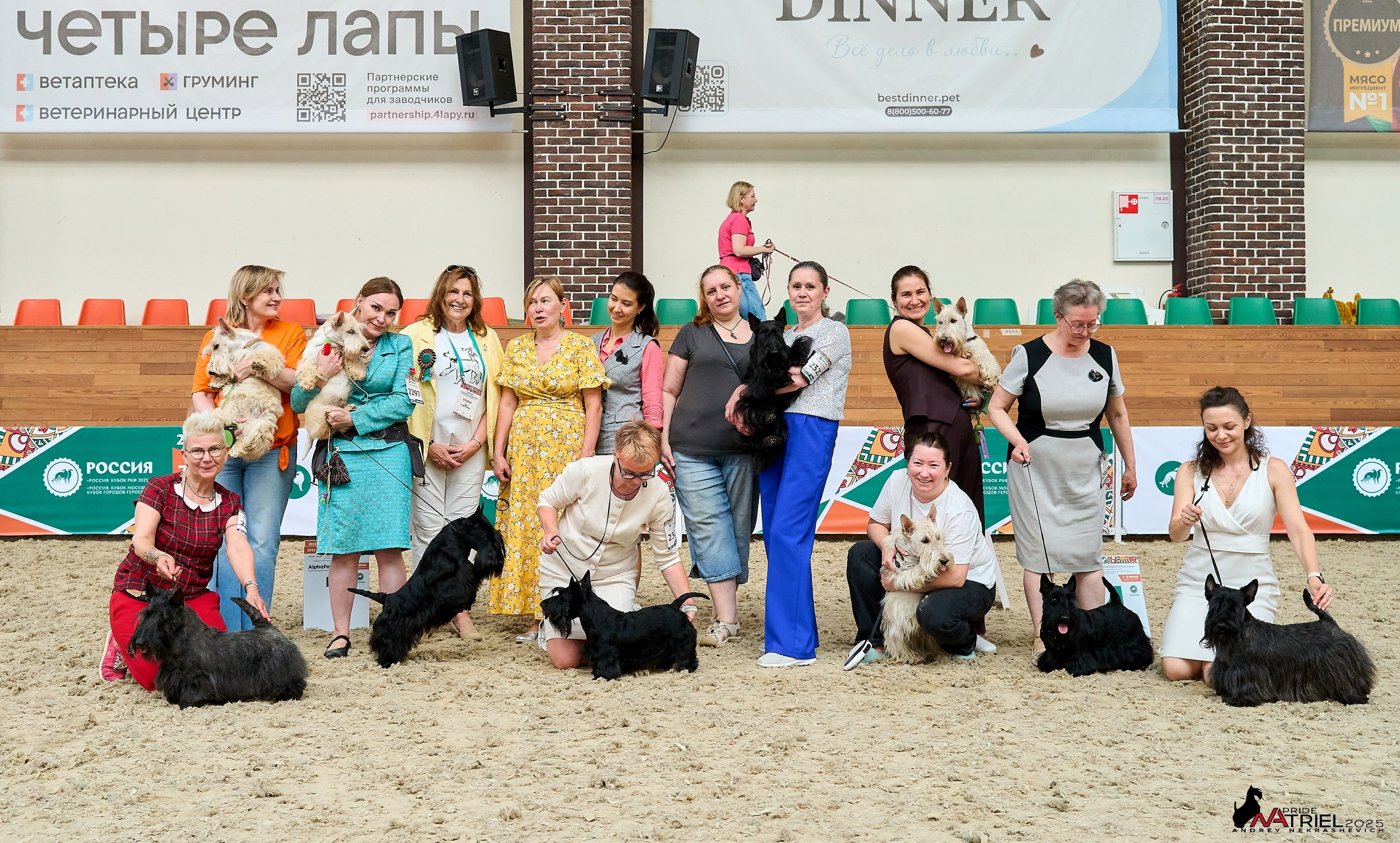 Выставка собак РОССИЯ — 2025