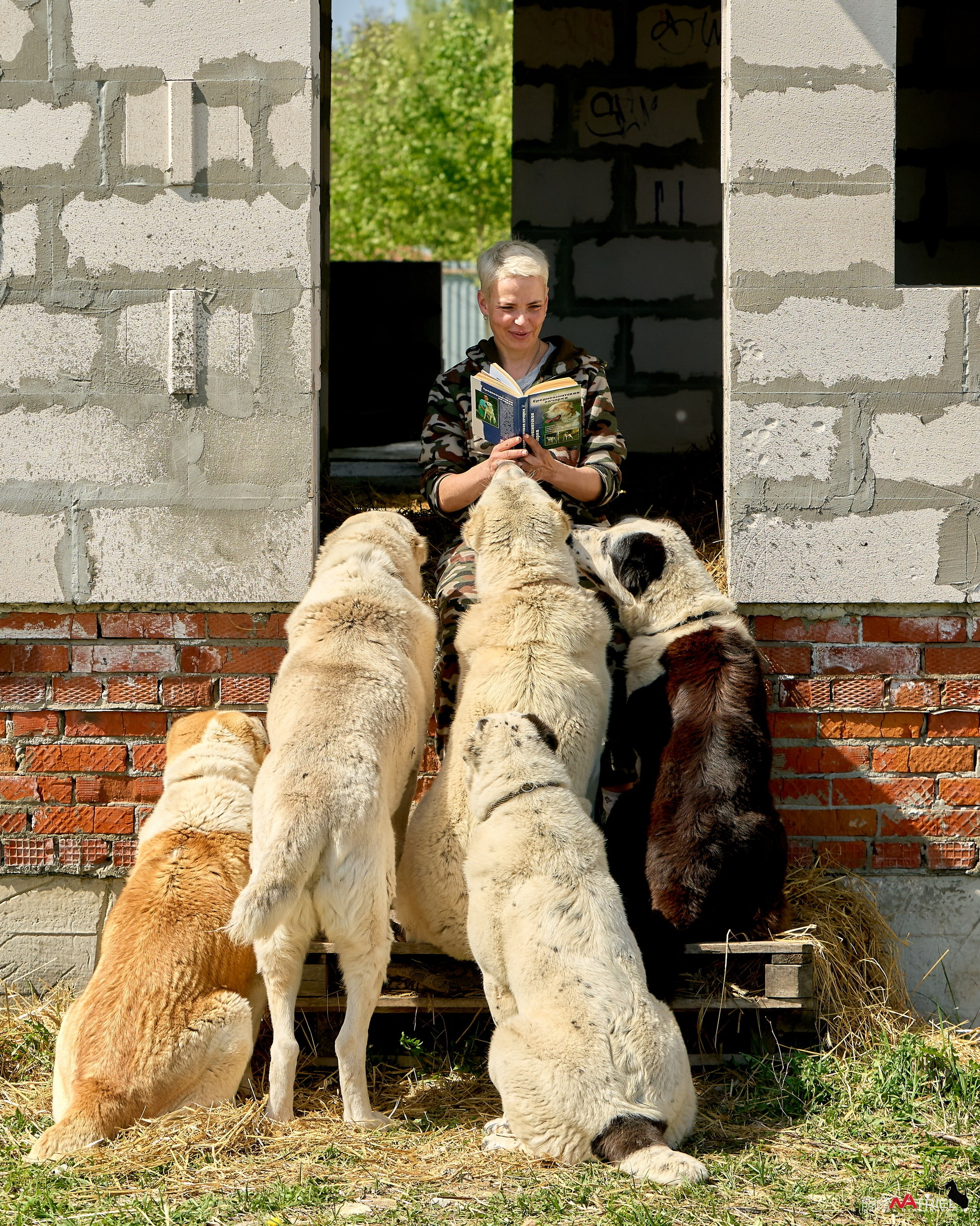 Съемка в питомнике