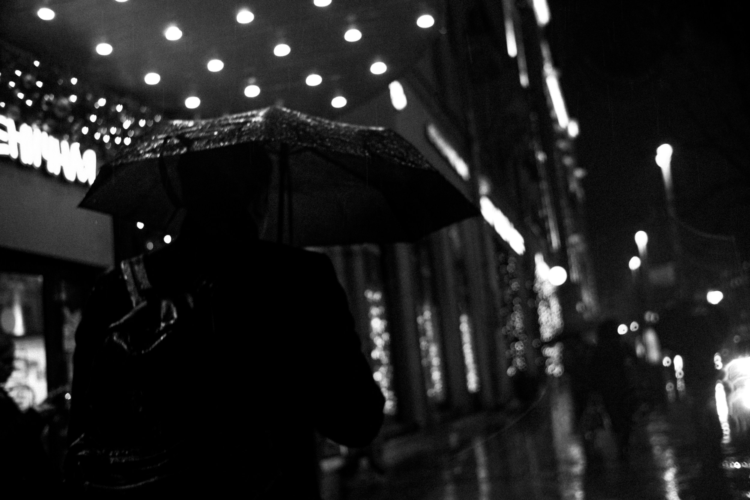 Дождь. Photographer Pavel Romashchenko