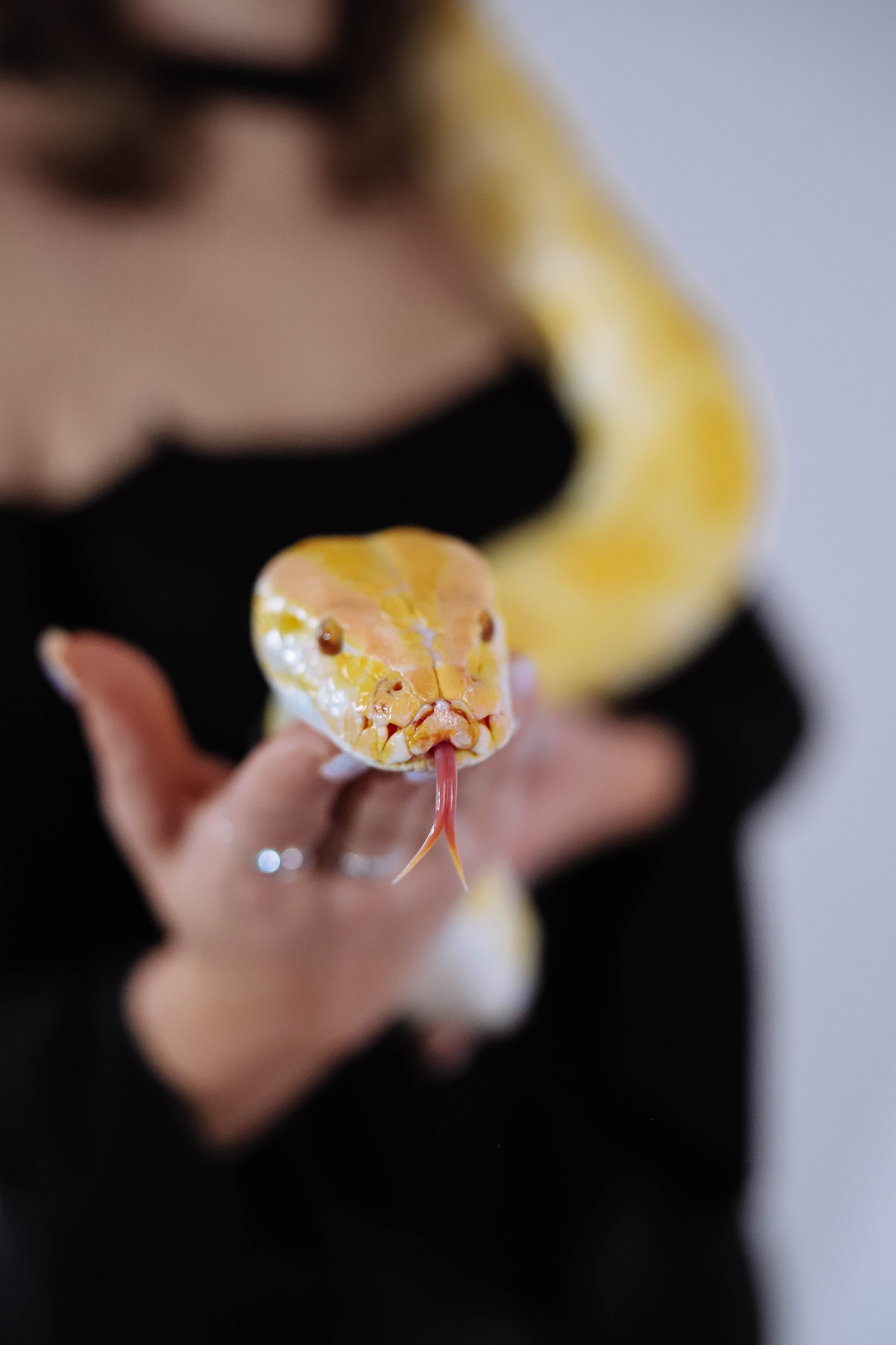 Фотопроект — snake. Женский/Детский фотограф в Симферополе Вероника Слепогина