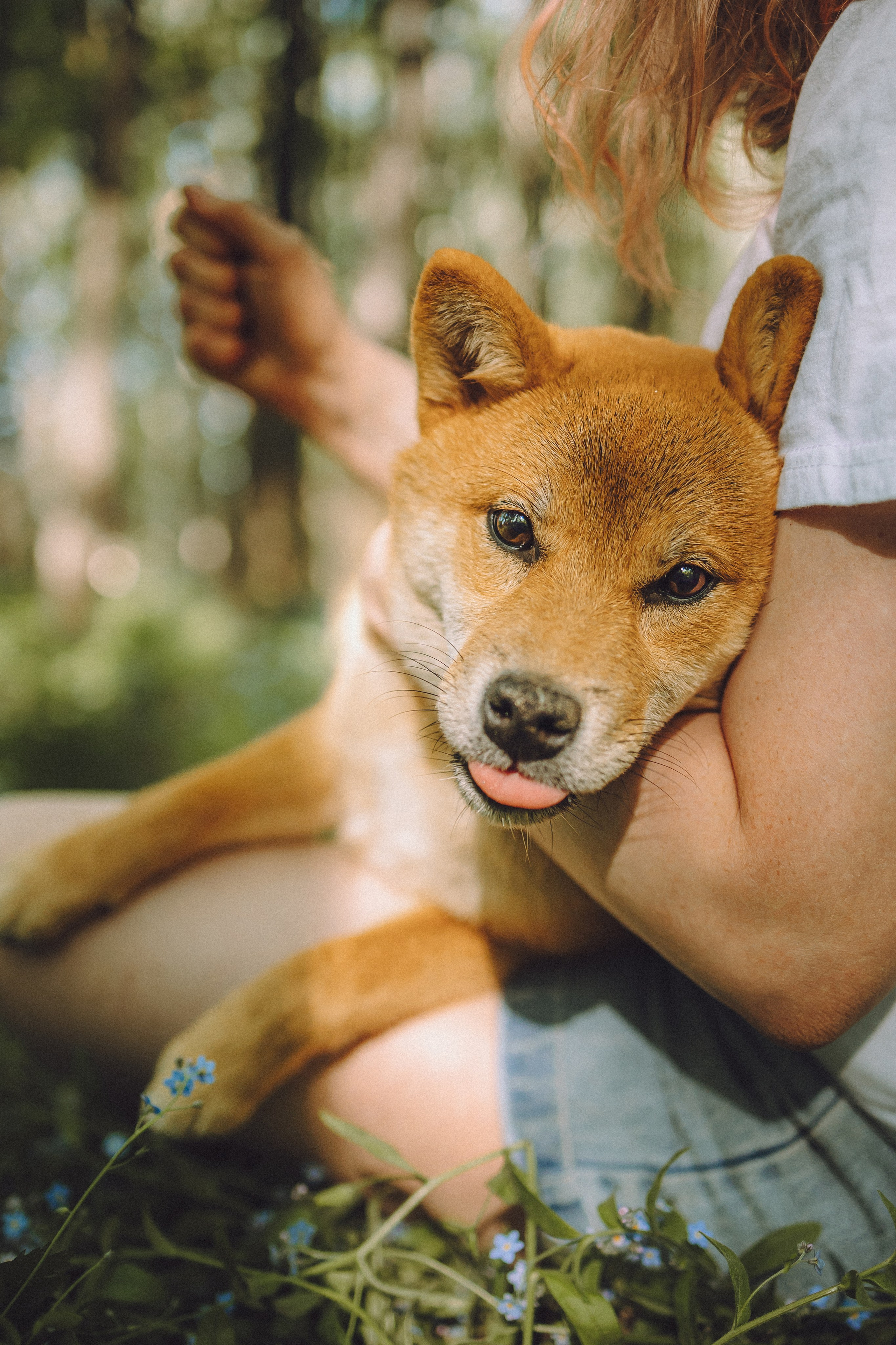 Шед, Цири, Чиби, Цера и их семья