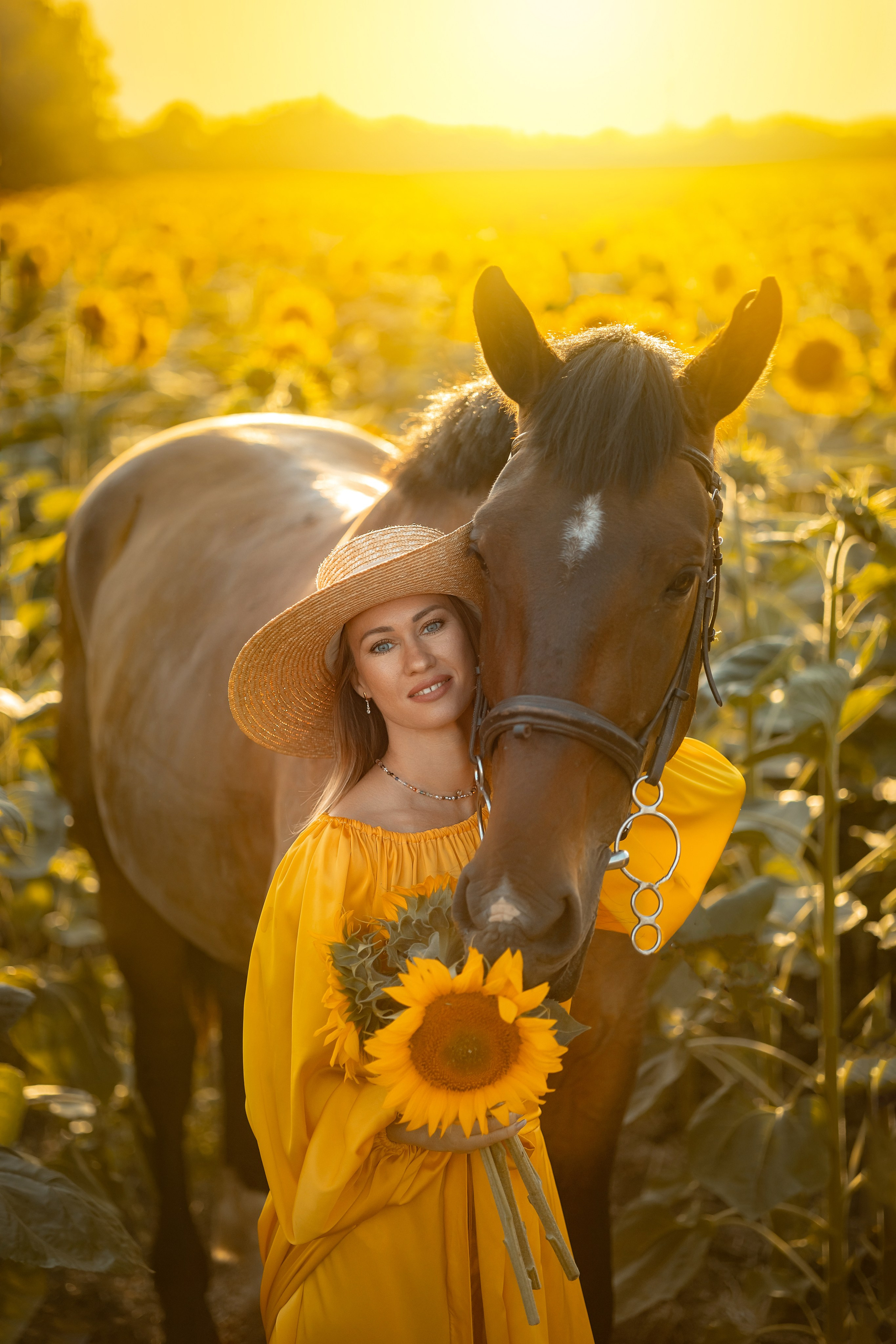 Солнечные подсолнухи. Художественный фотограф Анапа Александра Долбикова