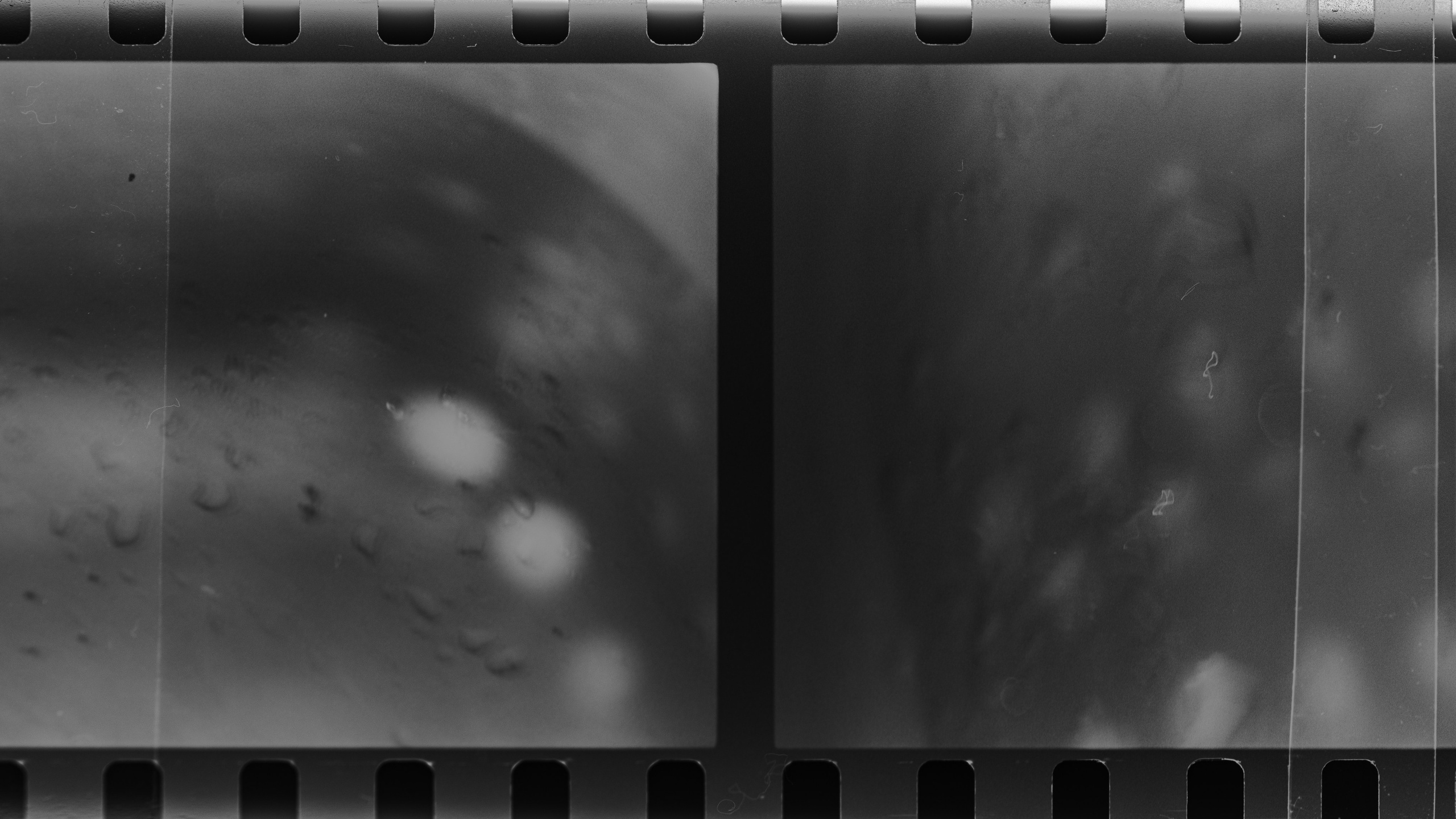 Traces. Veronika Verbitskaia | Contemporary Photographer | Dublin