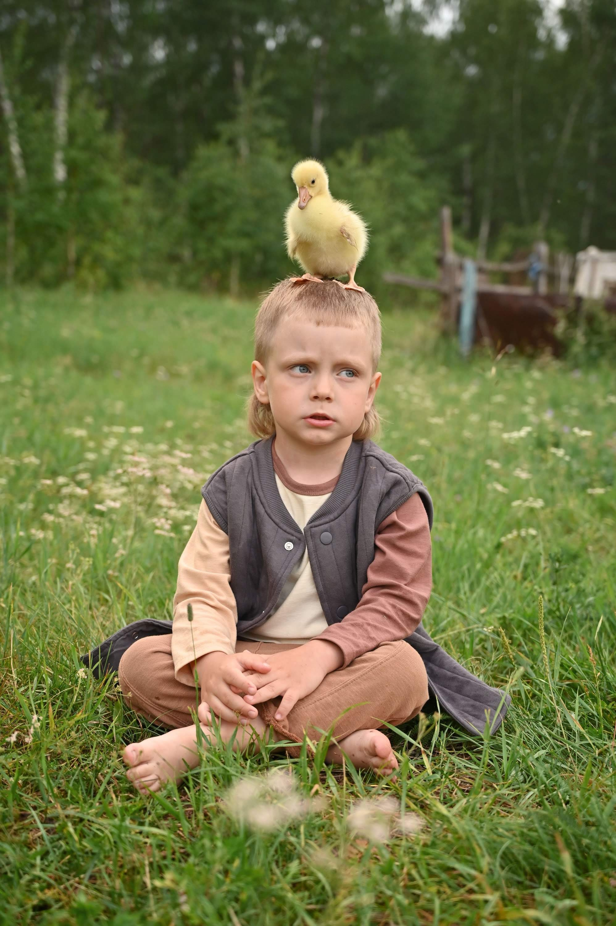 Дети и гусята. Семейный и детский фотограф в Хакасии