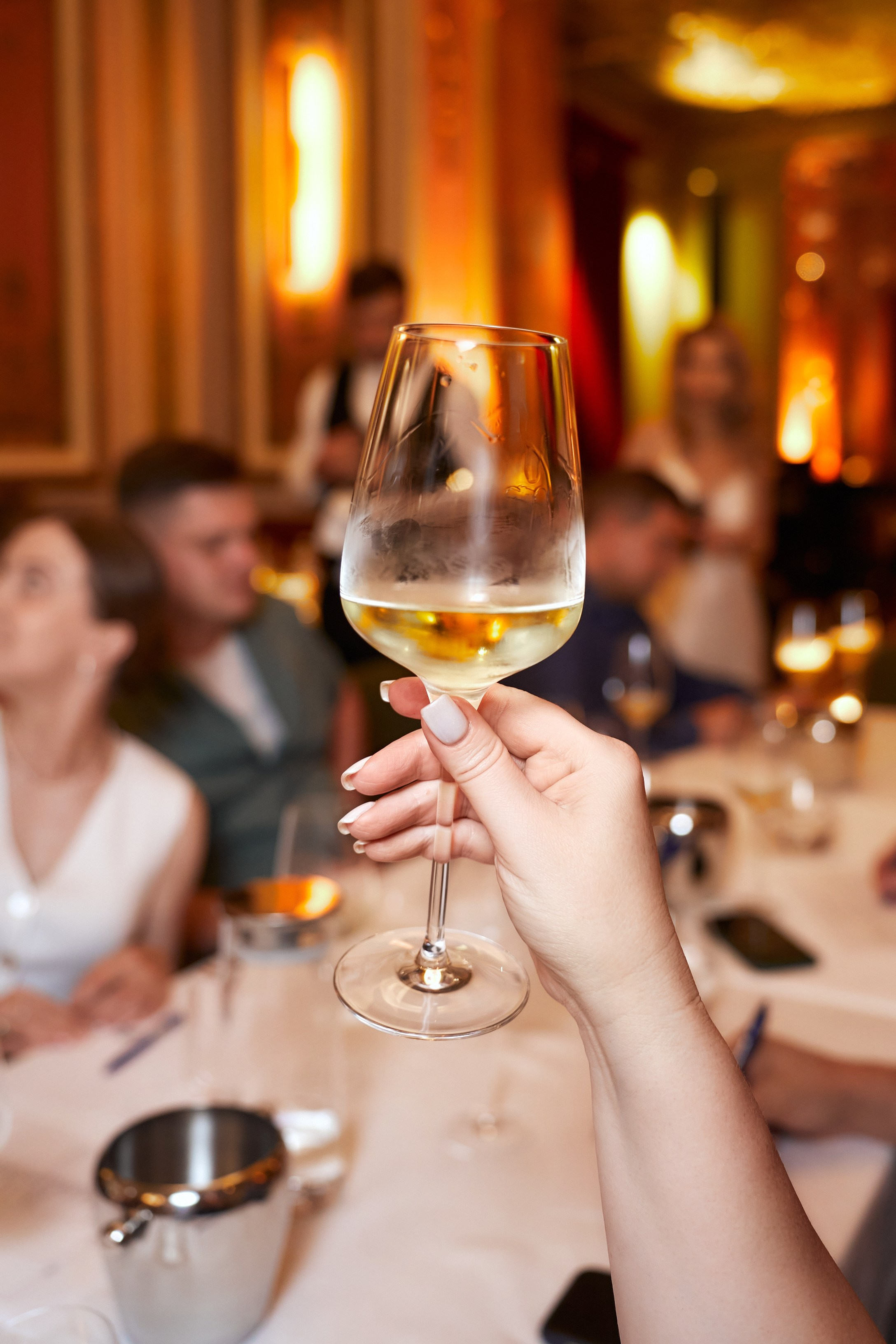 SAVOY. Кот в мешке. Александр Падежов — фотограф в Москве | Репортаж, бизнес, студия, свадьбы, семья