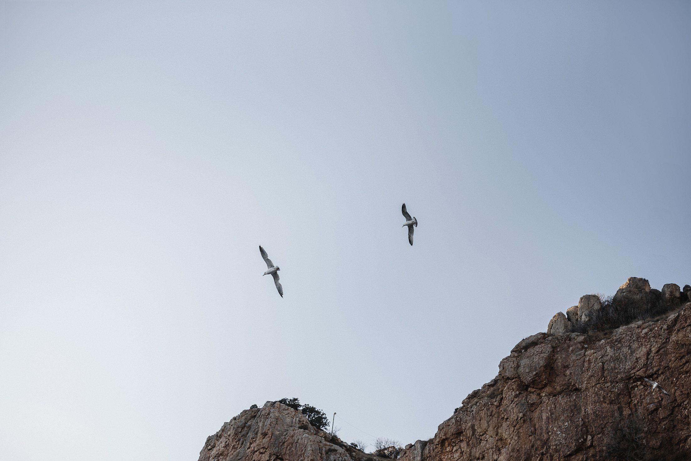 Максим и Виктория. Свадебный фотограф и видеограф
