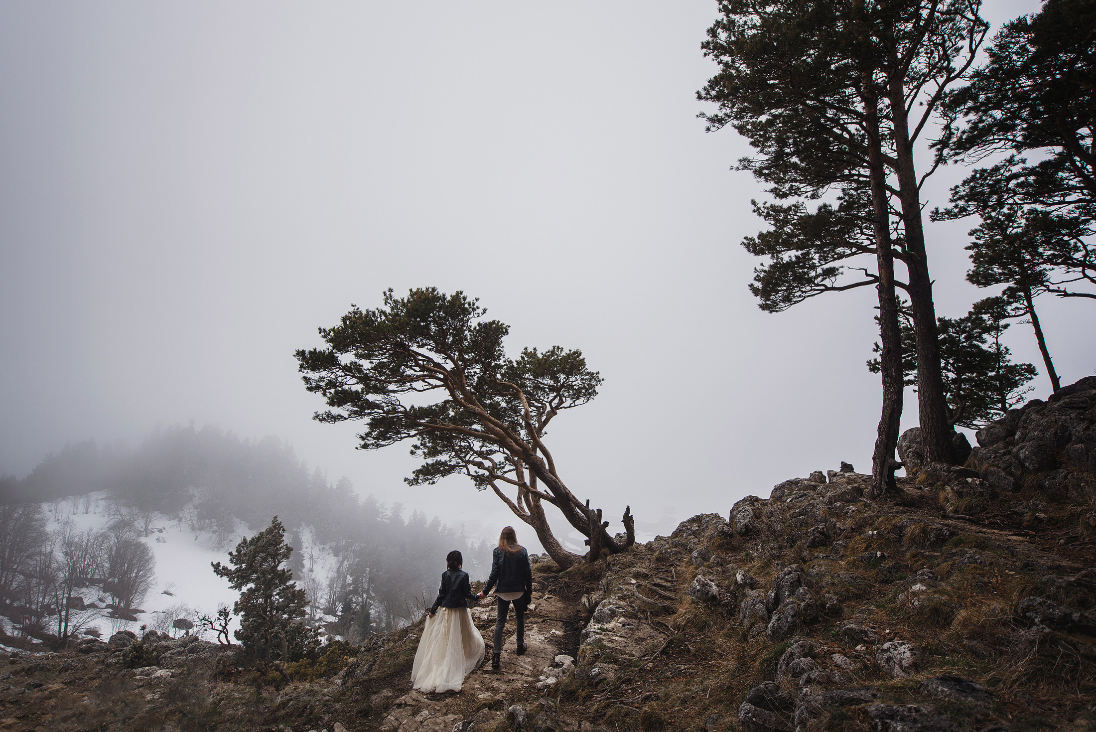 Дима и Вита. Свадебный фотограф и видеограф