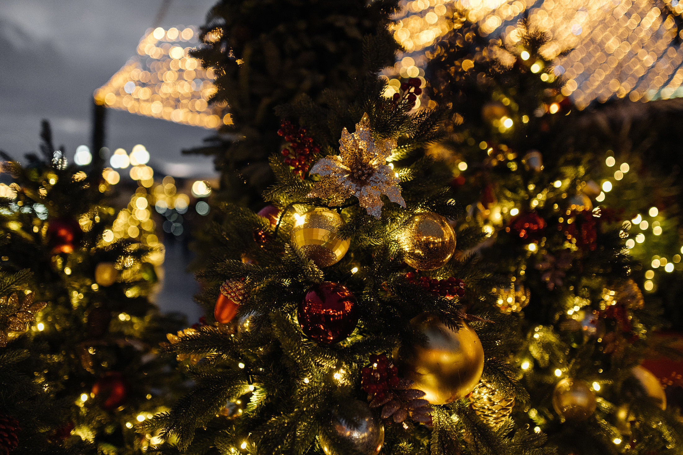 Дима и Катя. Свадебный фотограф и видеограф