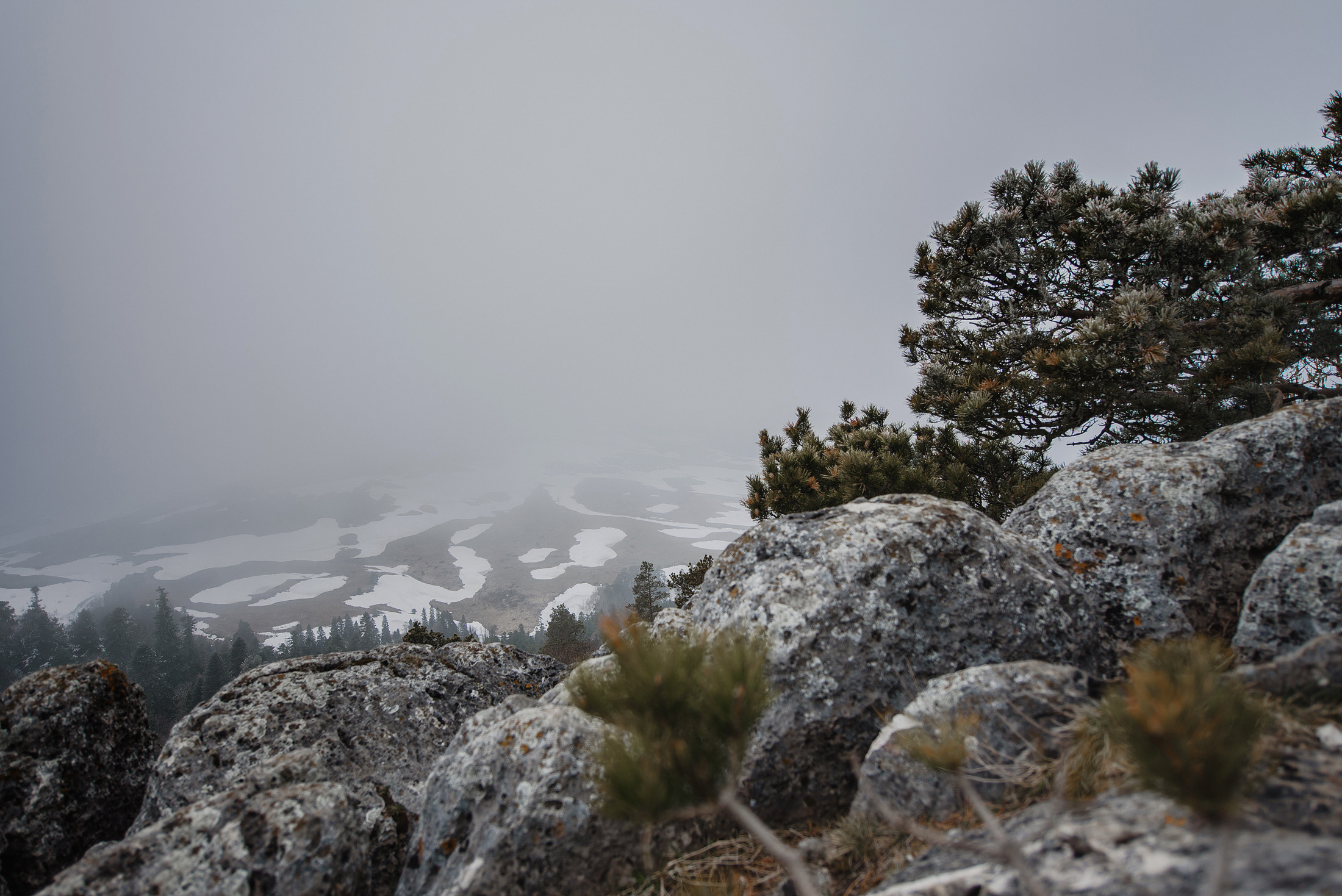 Дима и Вита. Свадебный фотограф и видеограф