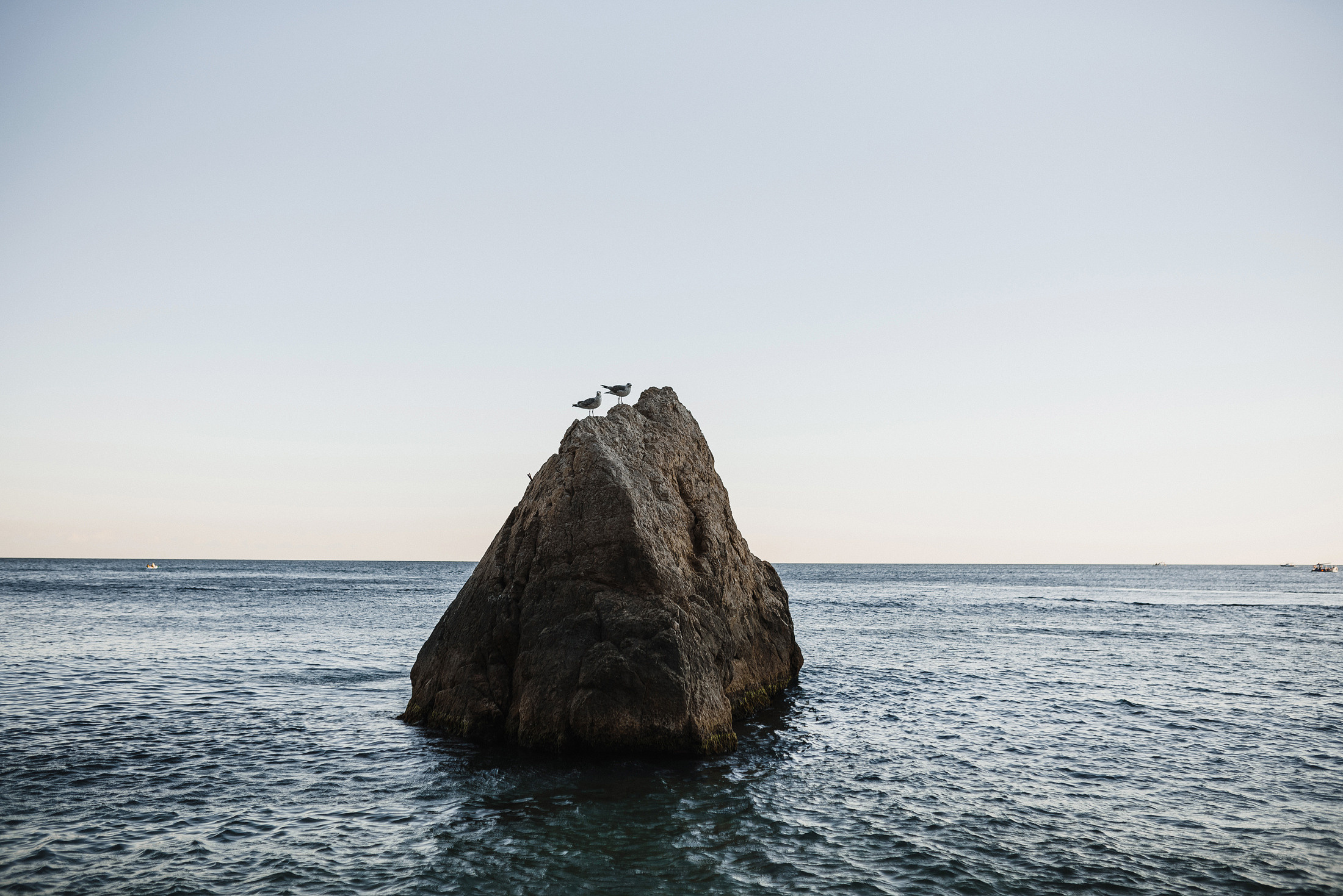 Максим и Виктория. Свадебный фотограф и видеограф