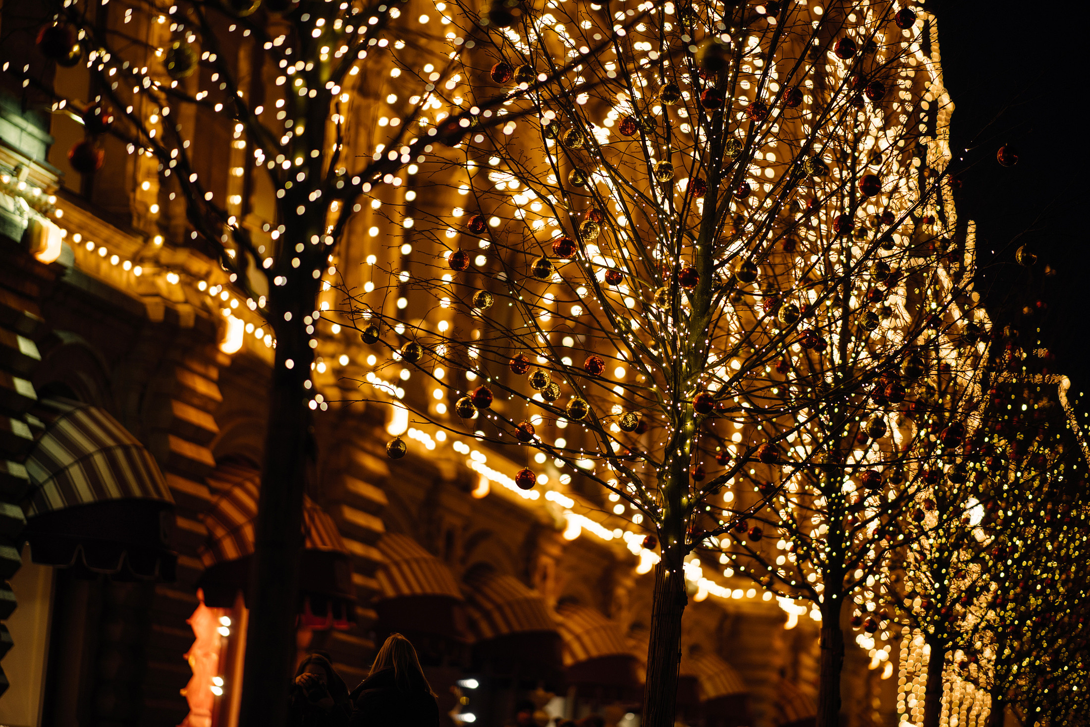 Дима и Катя. Свадебный фотограф и видеограф