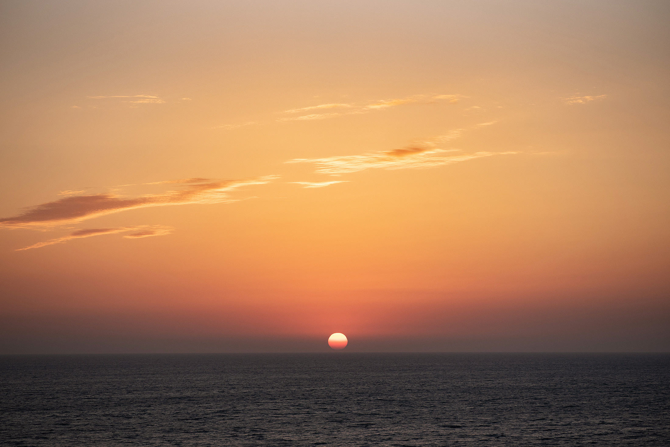 Максим и Виктория. Свадебный фотограф и видеограф