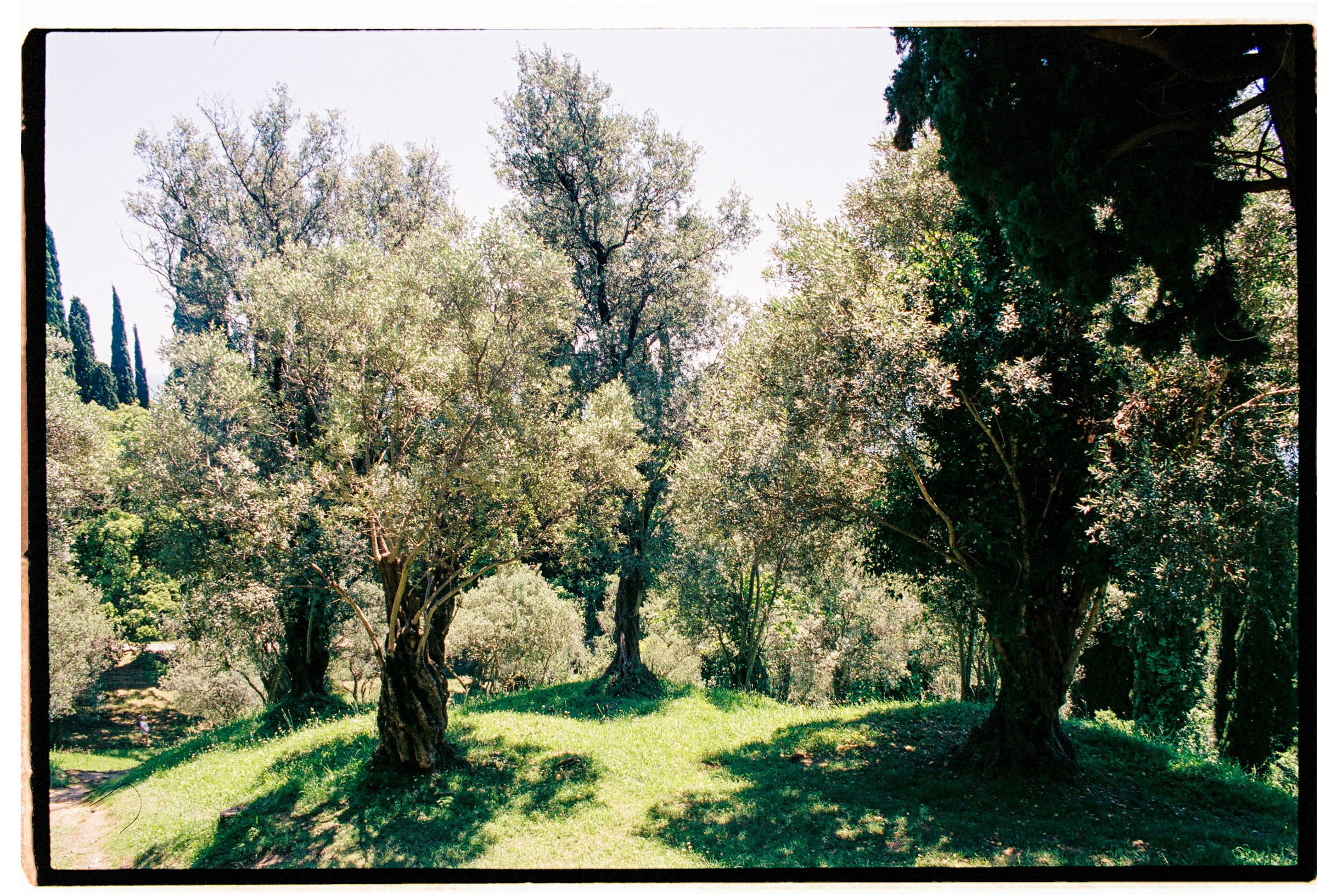 Abkhazia-2023. Никита Демидов. Nikita Demidov